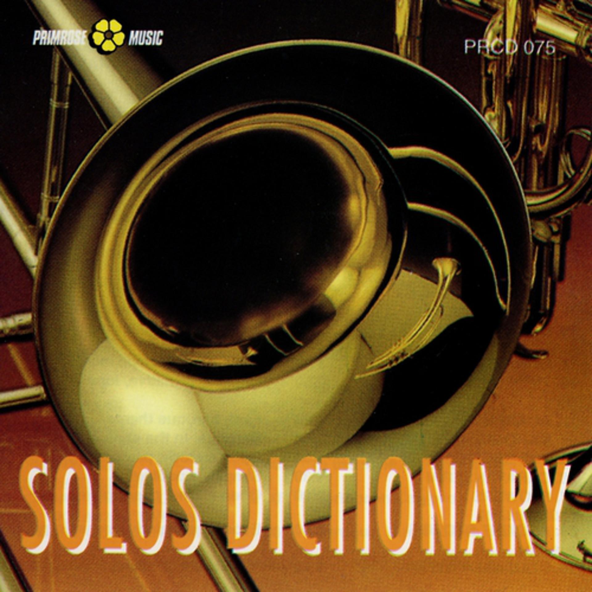 Постер альбома Solos Dictionary