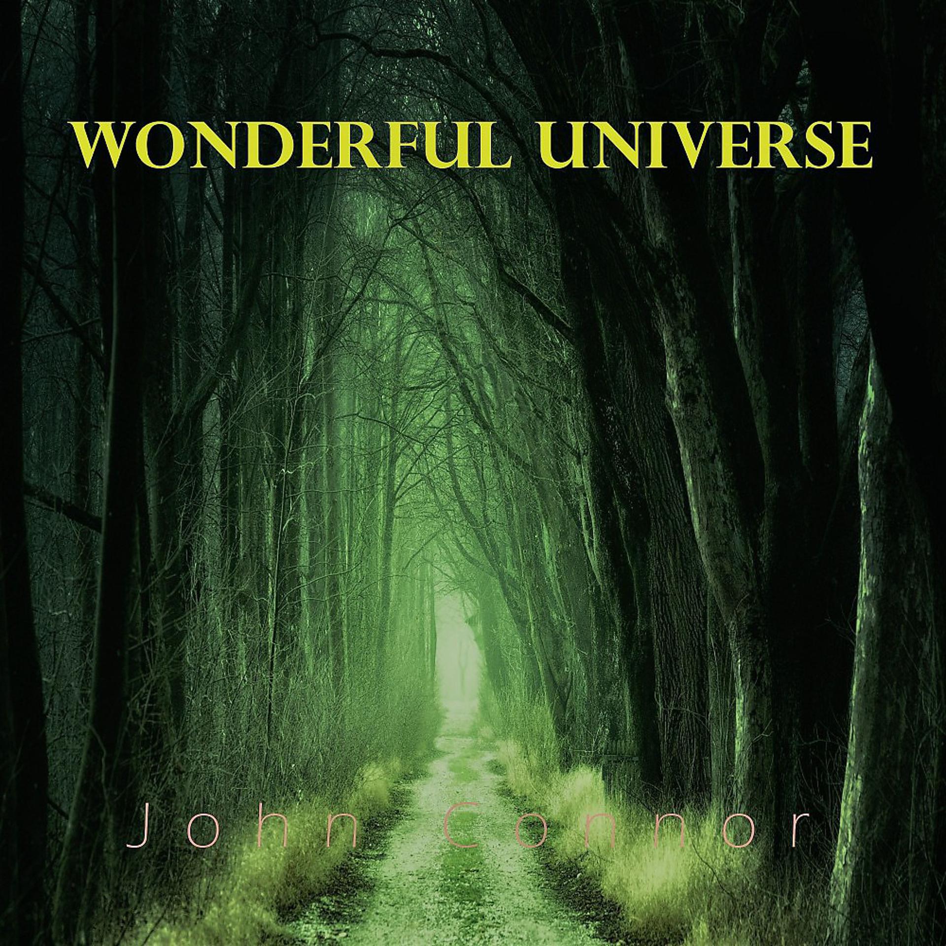 Постер альбома Wonderful Universe