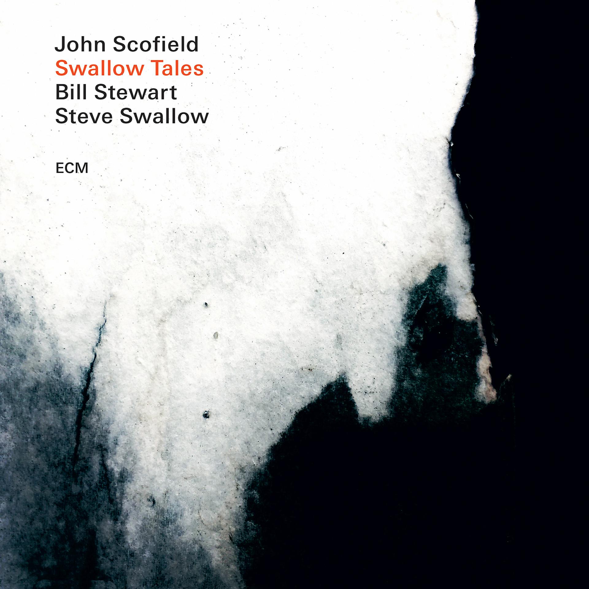 Постер альбома Swallow Tales