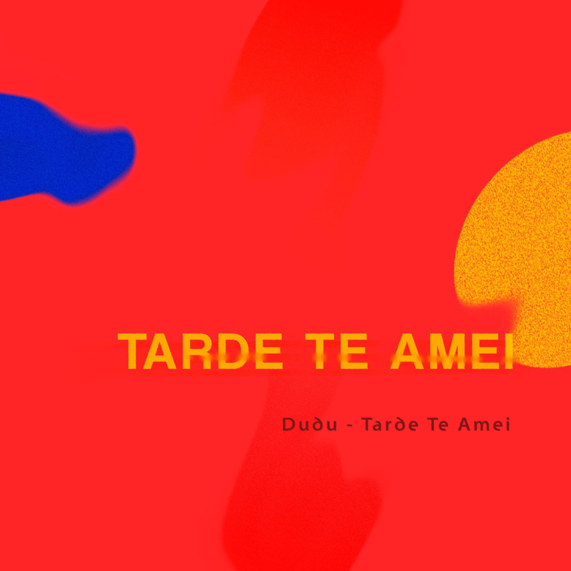 Постер альбома Tarde Te Amei