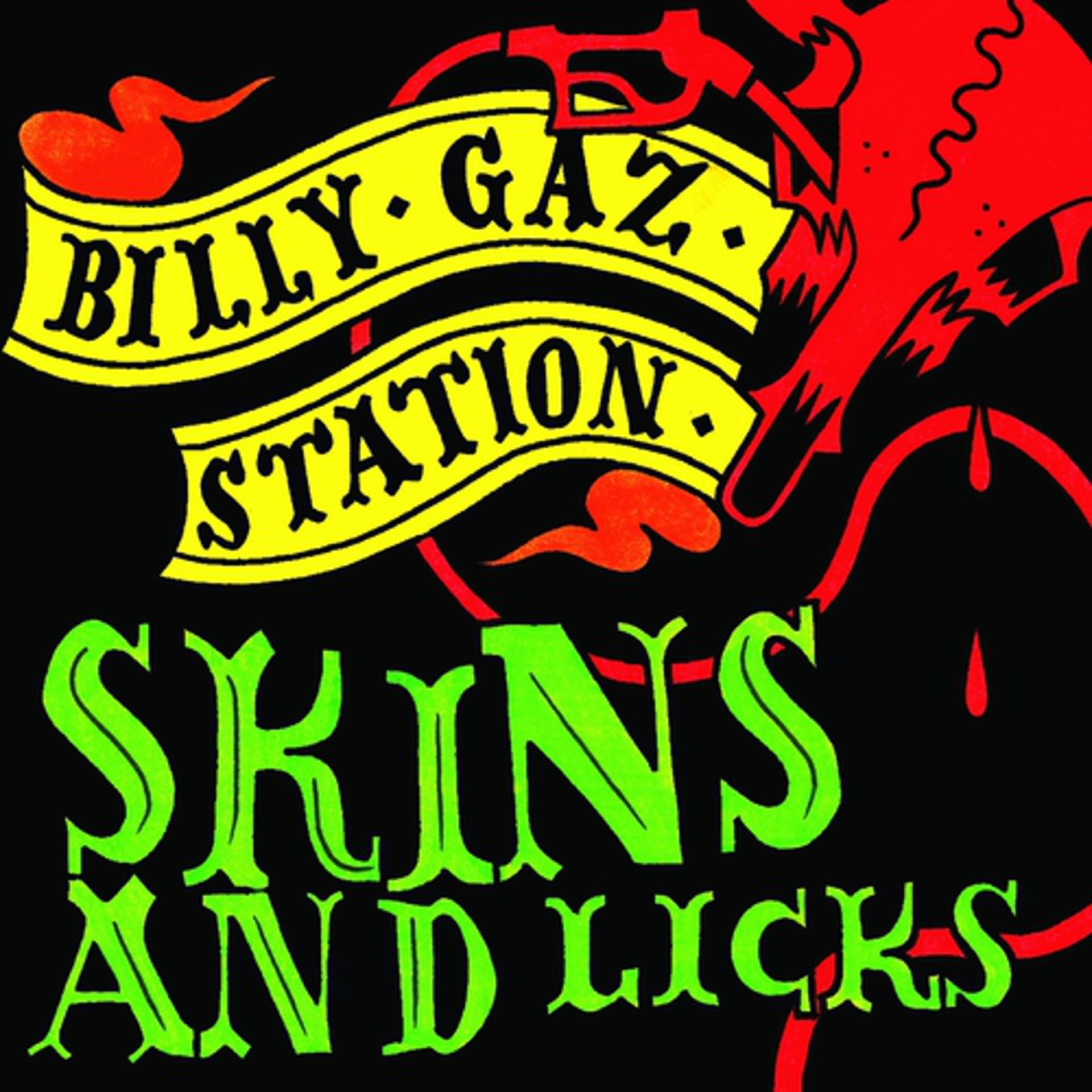 Постер альбома Skins and licks