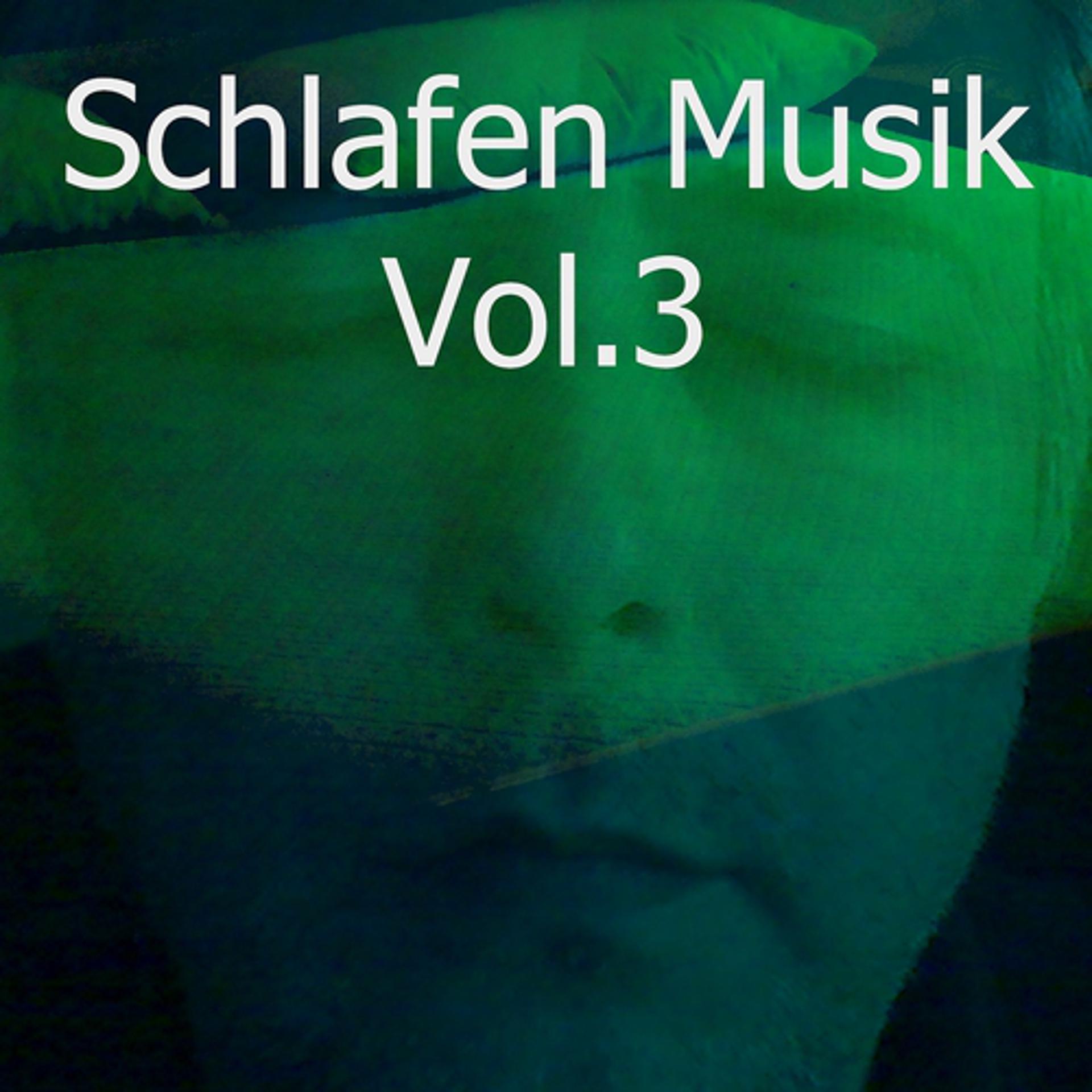 Постер альбома Schlafen Musik, Vol. 3