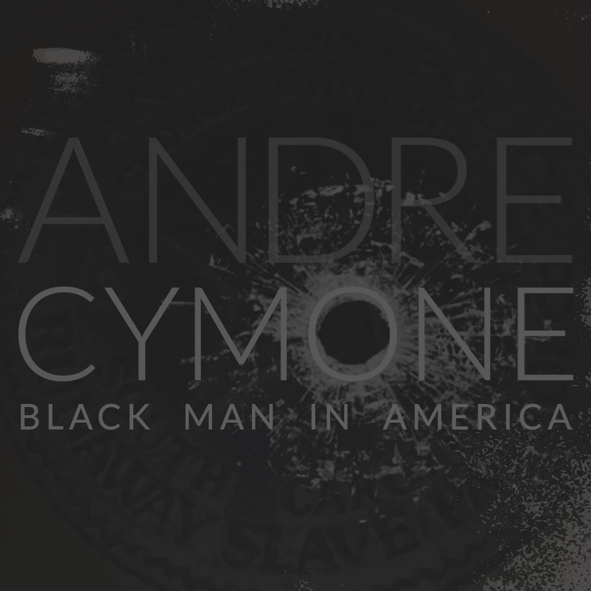 Постер альбома Black Man in America