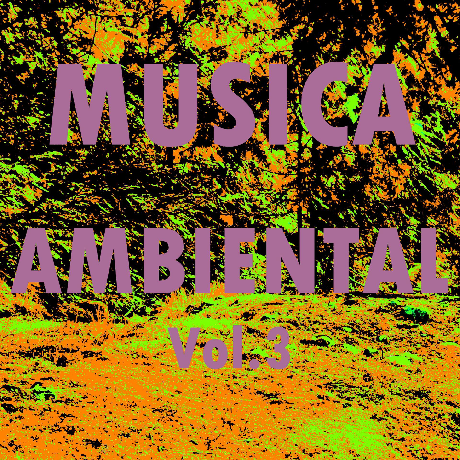 Постер альбома Musica Ambiental, Vol. 3