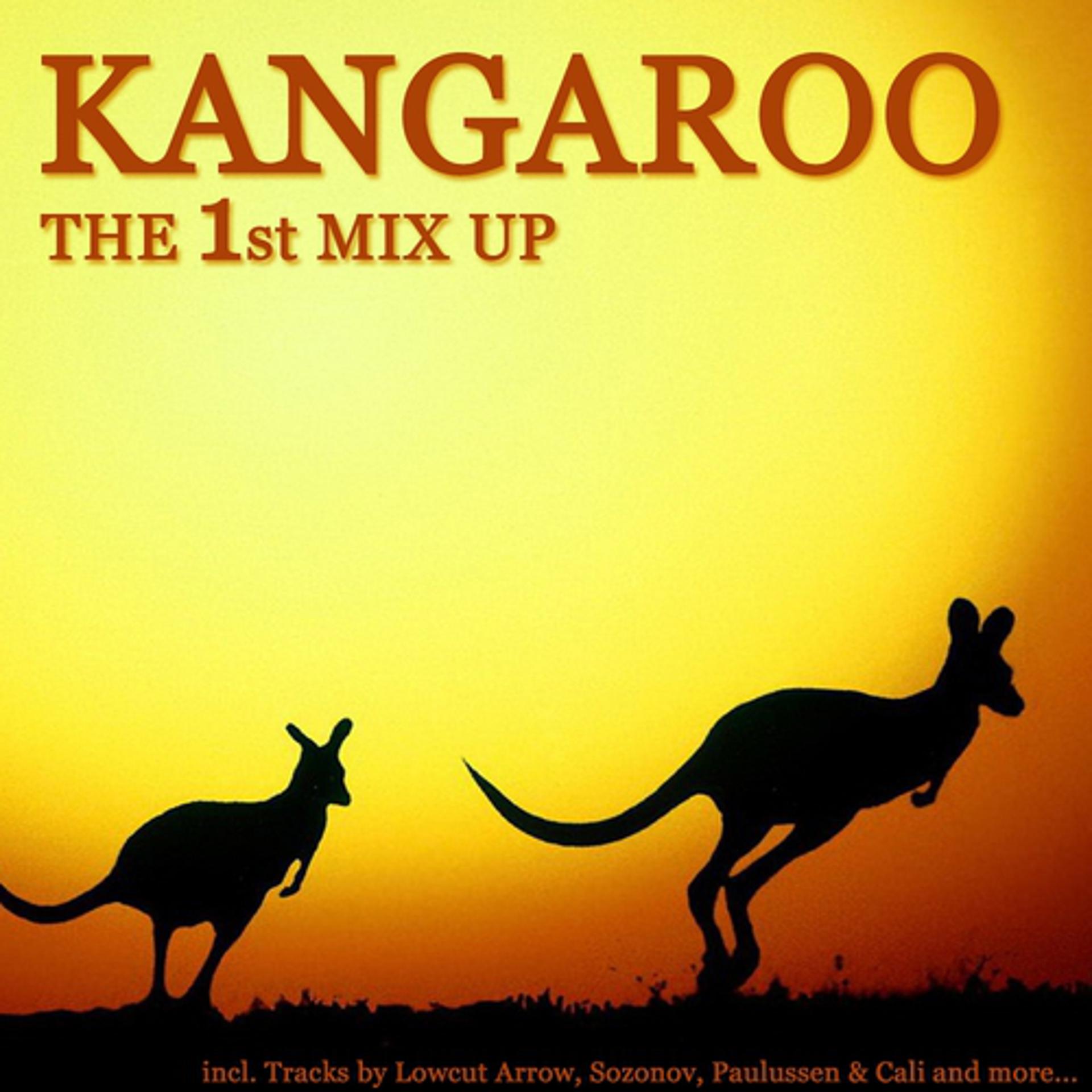 Постер альбома Kangaroo - The 1st Mix Up