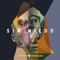 Постер альбома Sin miedo 2020