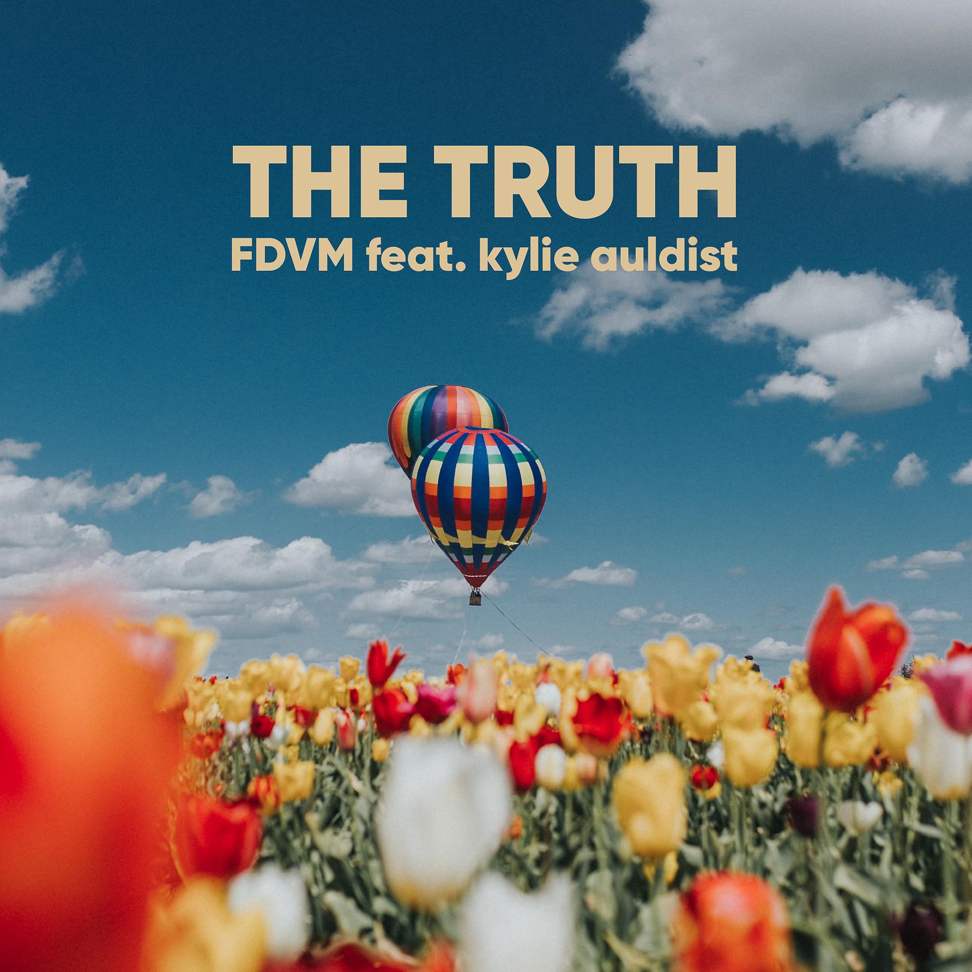 Постер альбома The Truth (feat. Kylie Auldist)