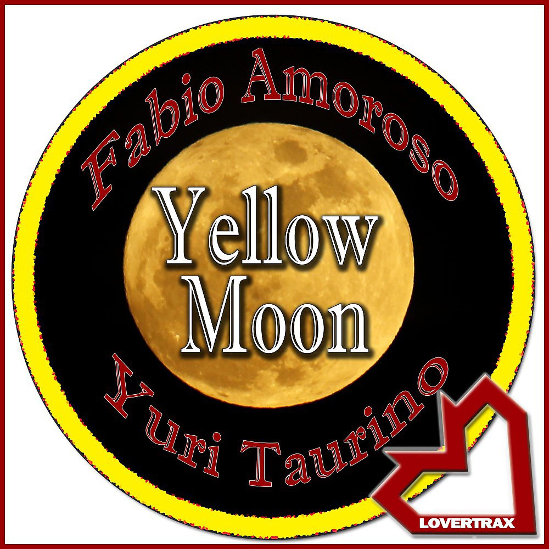 Постер альбома Yellow Moon (Extended Mix)