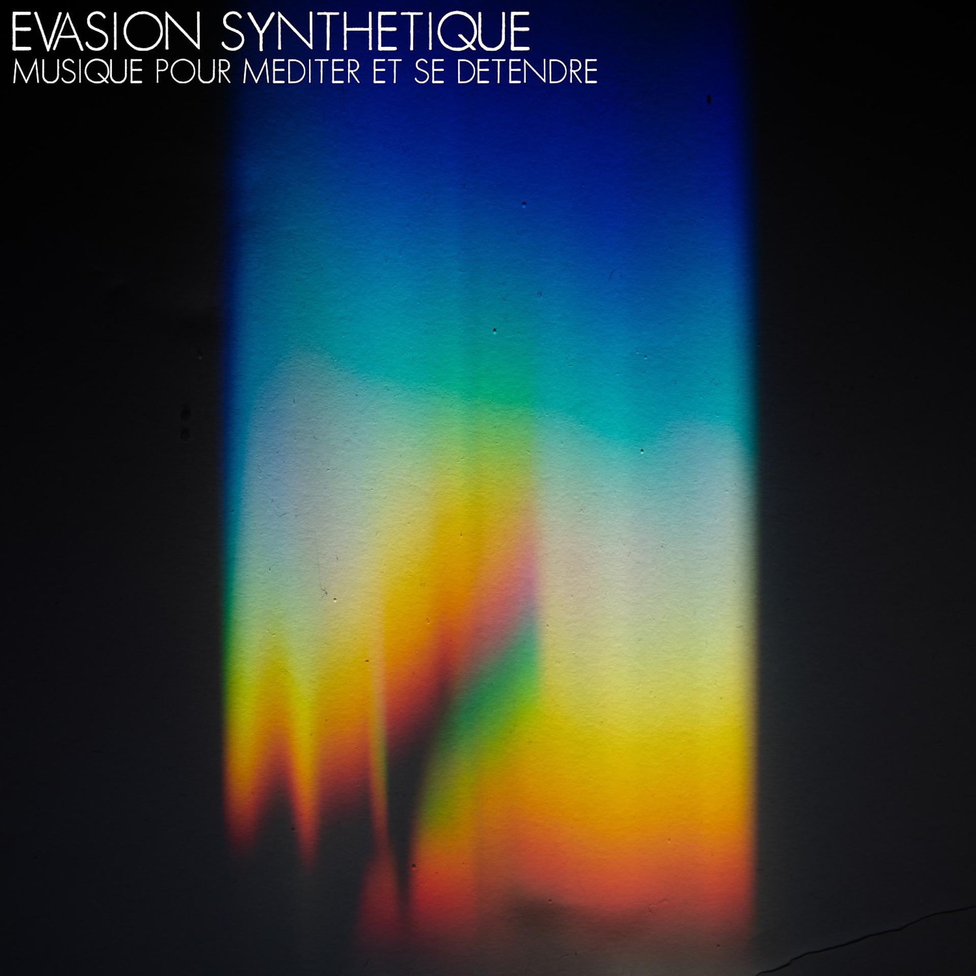 Постер альбома Evasion synthétique (Musique pour méditer et se détendre)