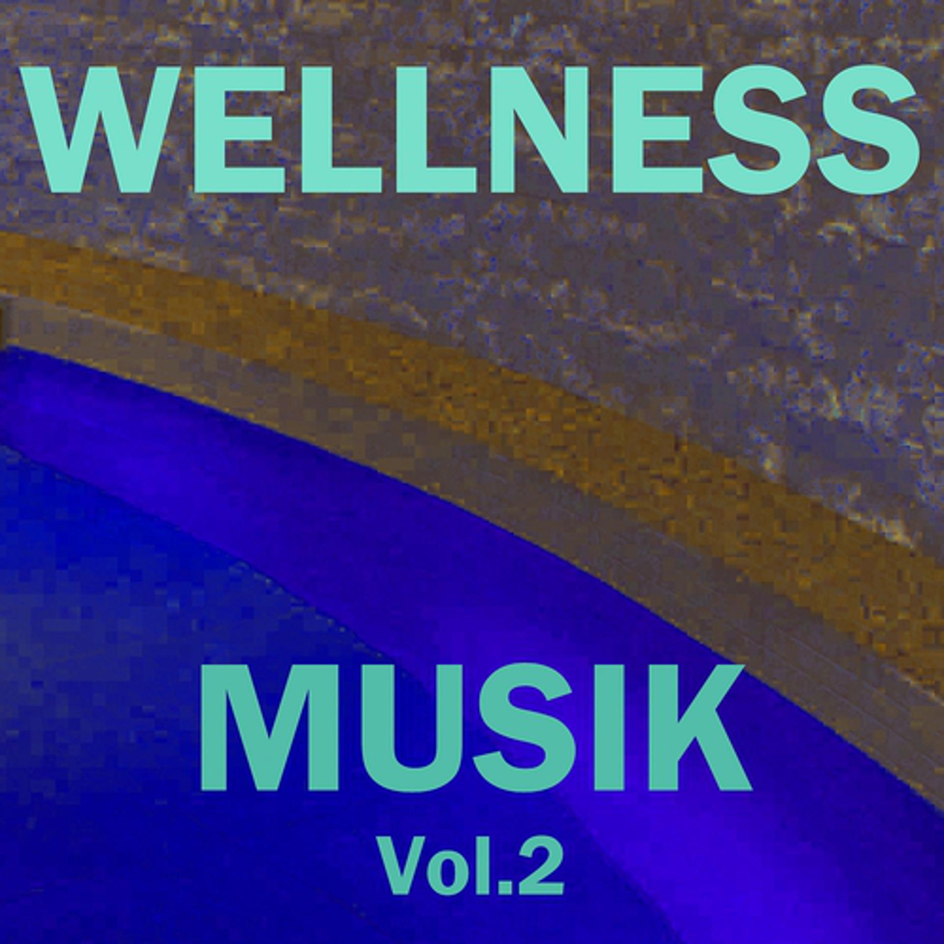 Постер альбома Wellness musik, vol. 2