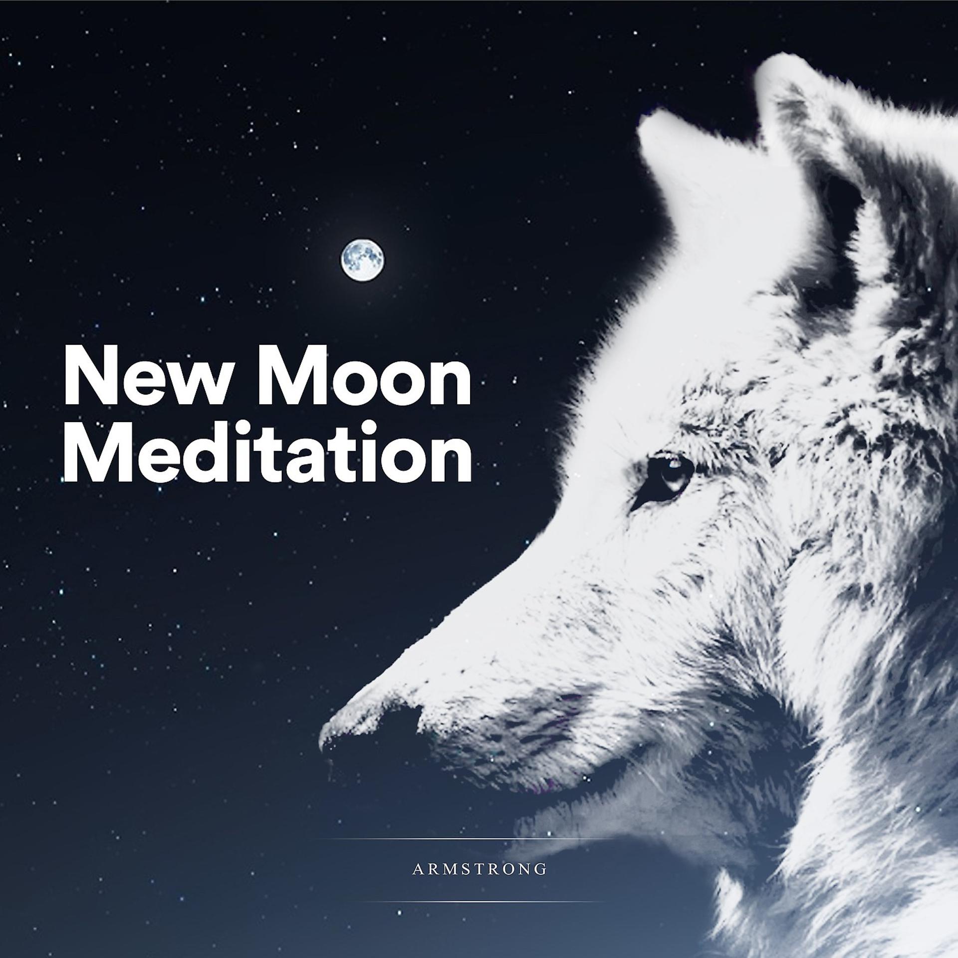Постер альбома New Moon Meditation