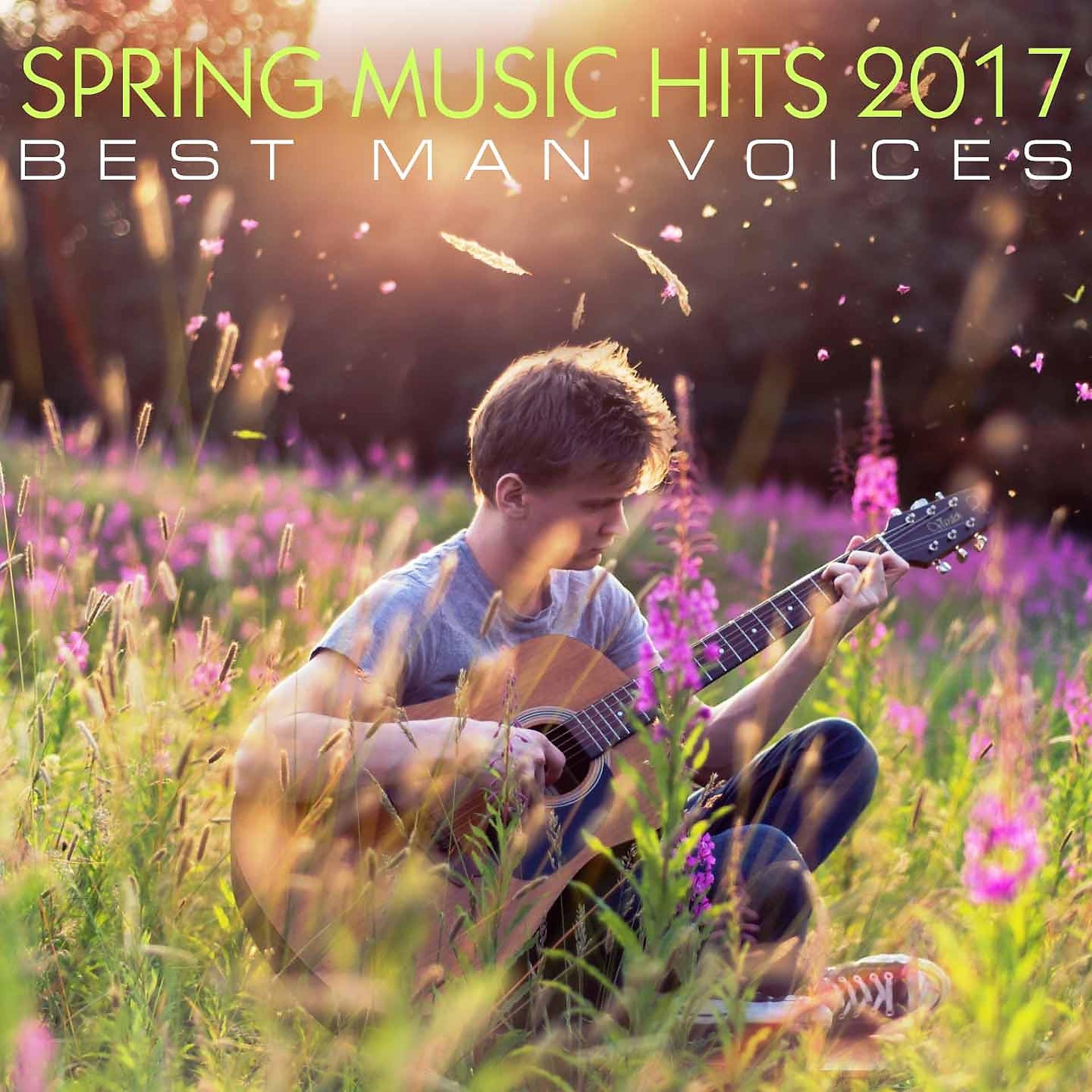 Постер альбома Spring Music Hits 2017