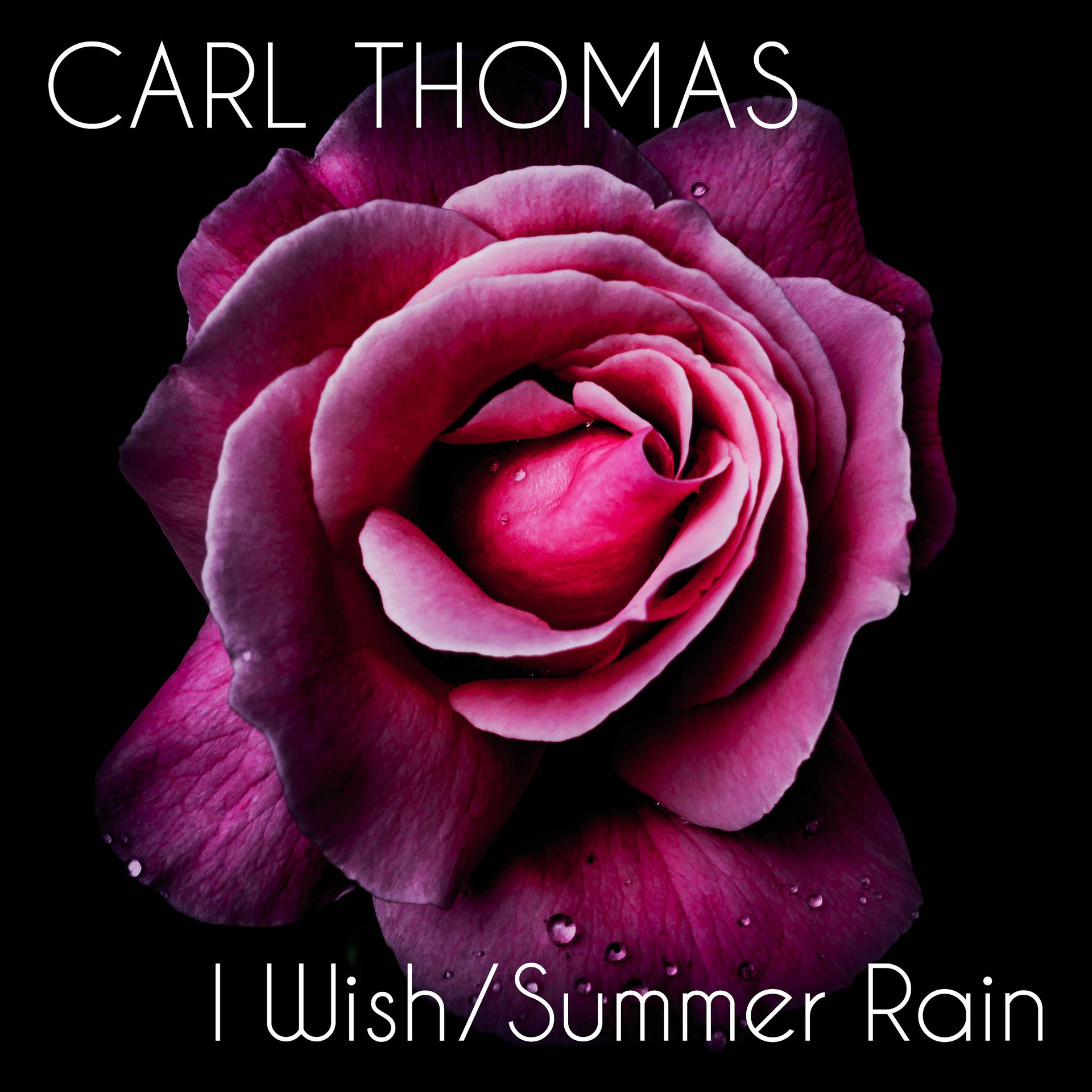 Постер альбома I Wish / Summer Rain (Re-Recorded)