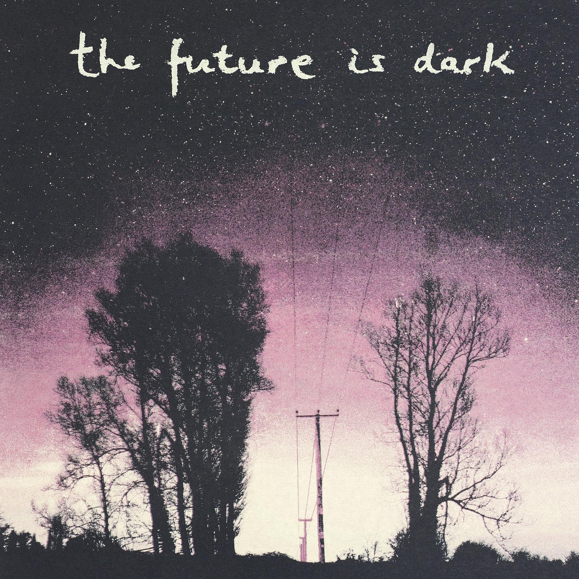 Постер альбома The Future is Dark
