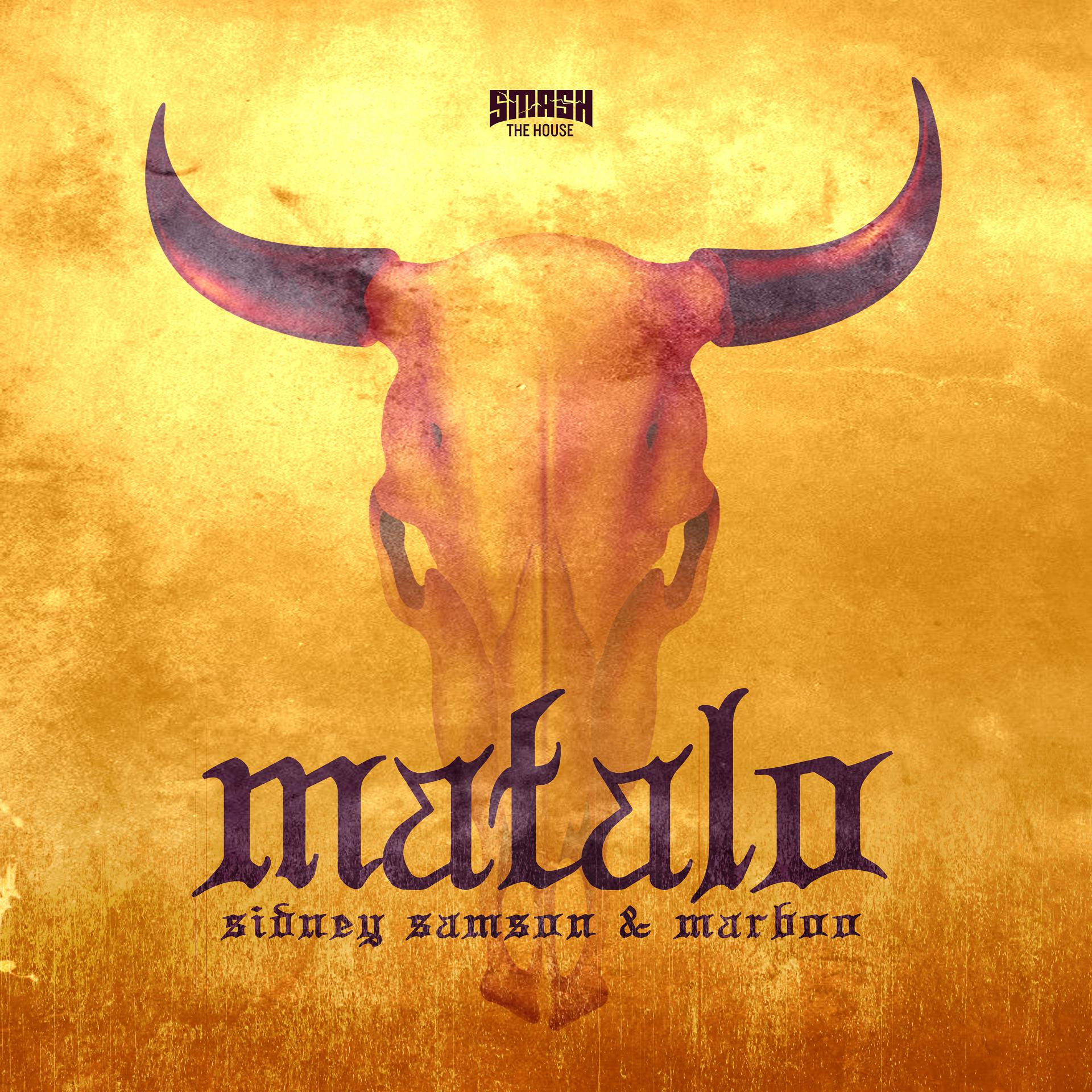 Постер альбома Matalo