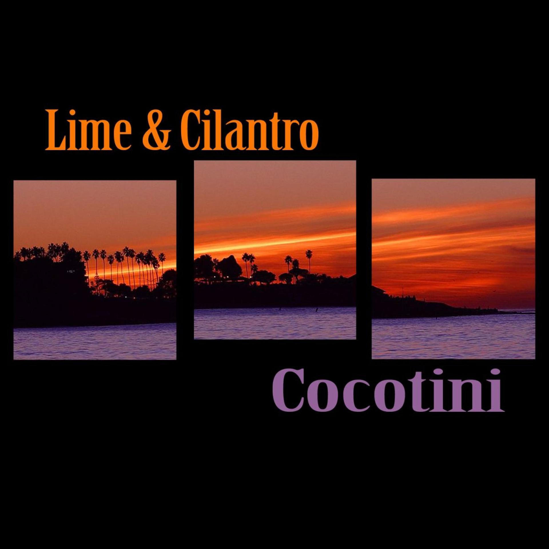 Постер альбома Cocotini - EP