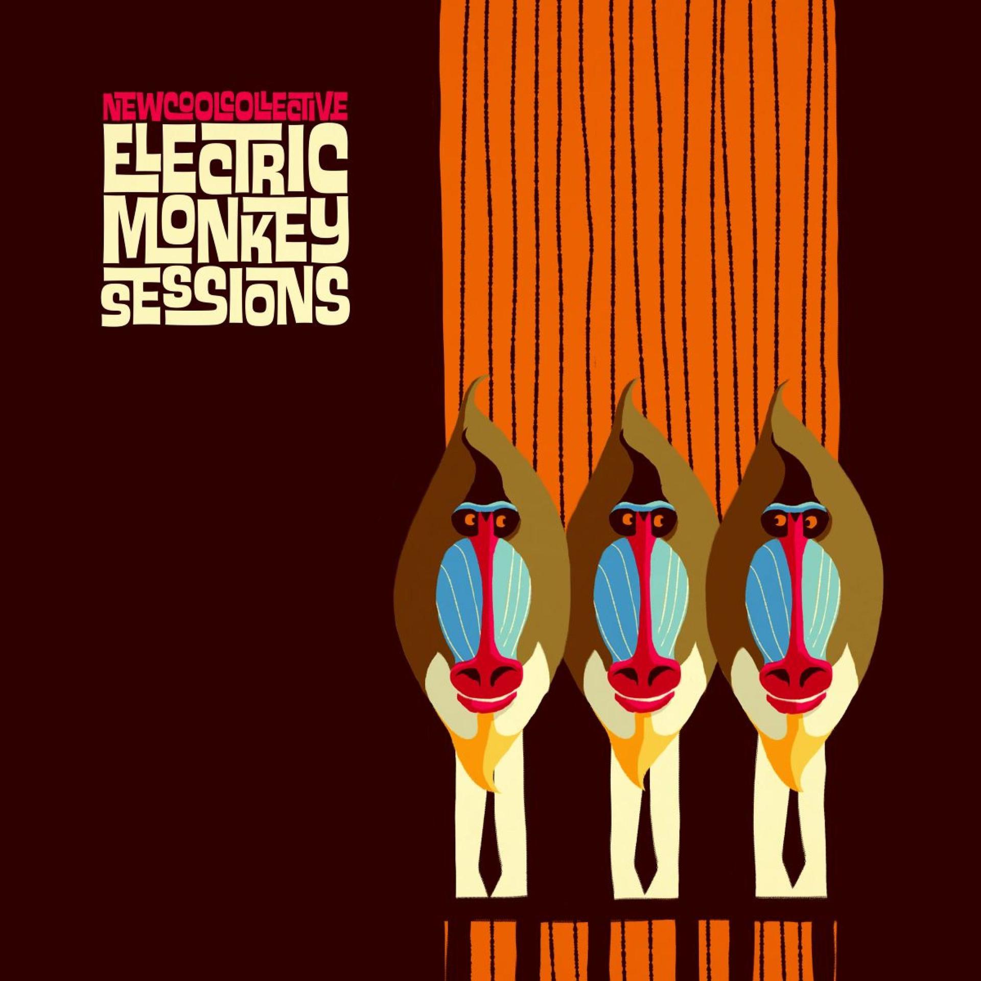 Постер альбома Electric Monkey Sessions