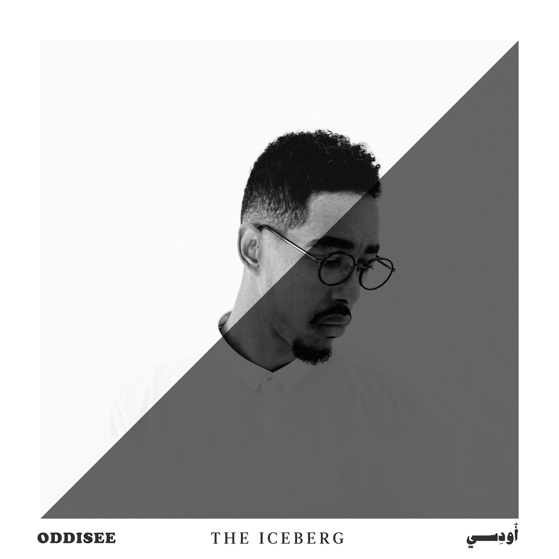 Постер альбома The Iceberg