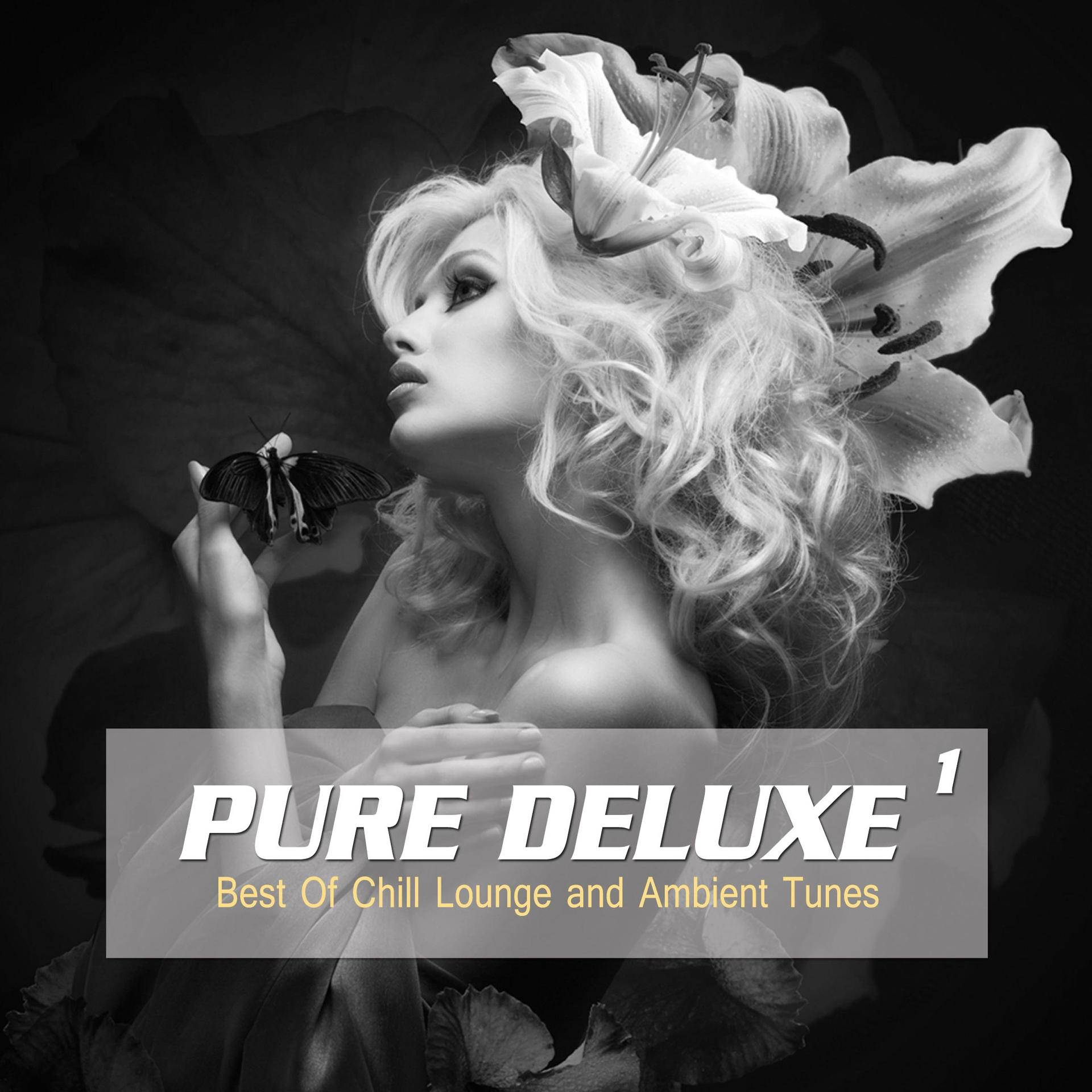 Постер альбома Pure Deluxe, Vol. 1 (Best of Chill Lounge and Ambient Tunes)