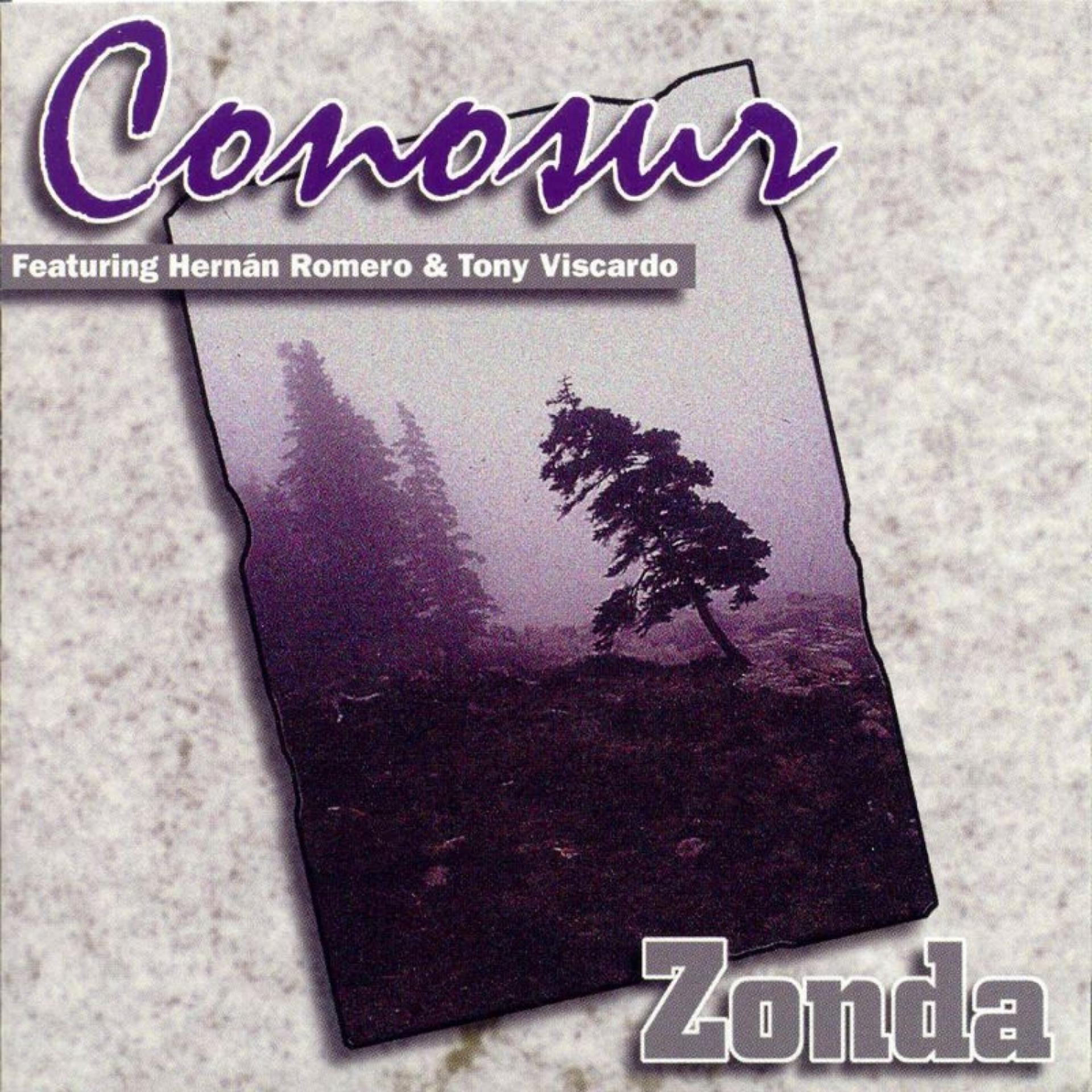 Постер альбома Conosur