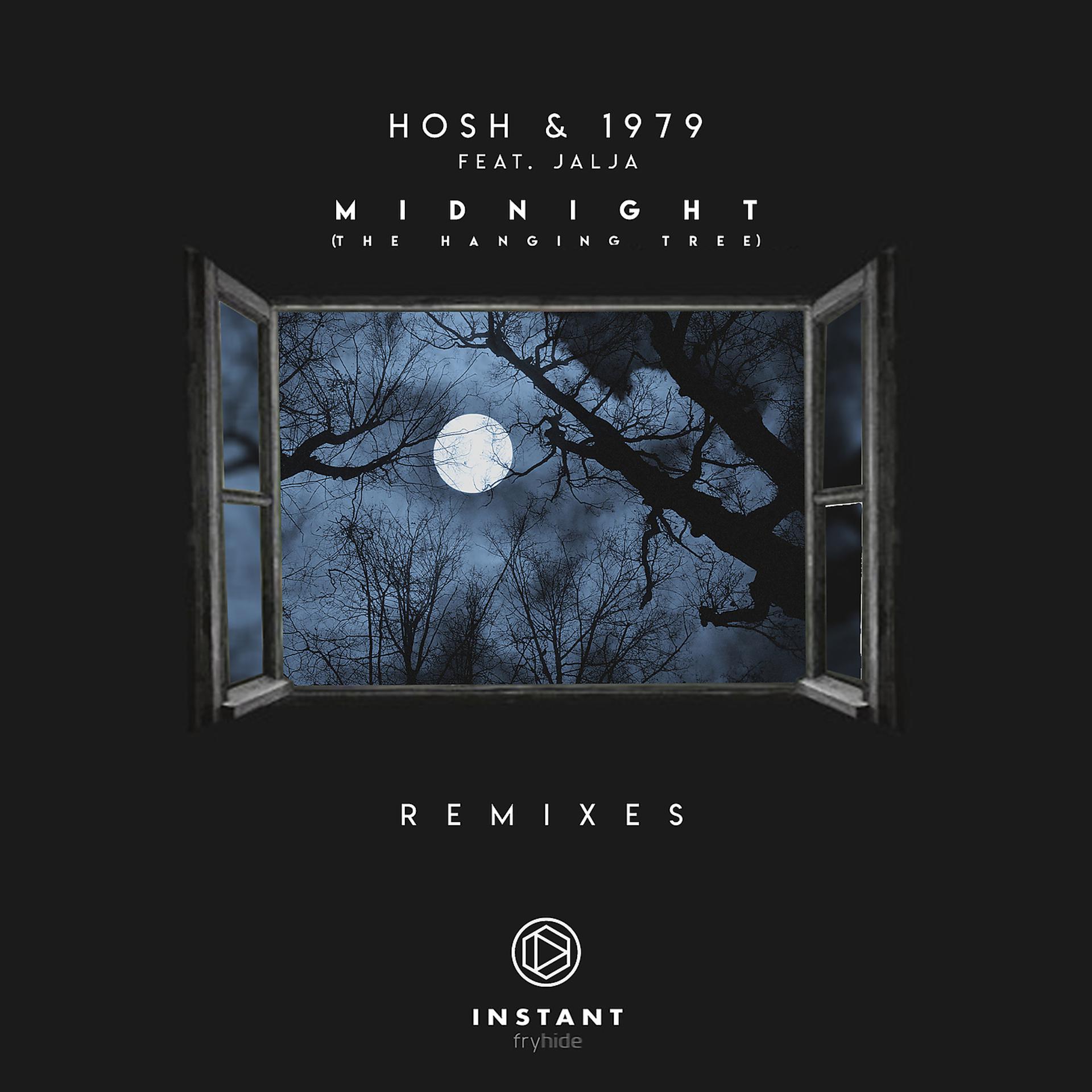 Постер альбома Midnight (The Hanging Tree) (Remixes)
