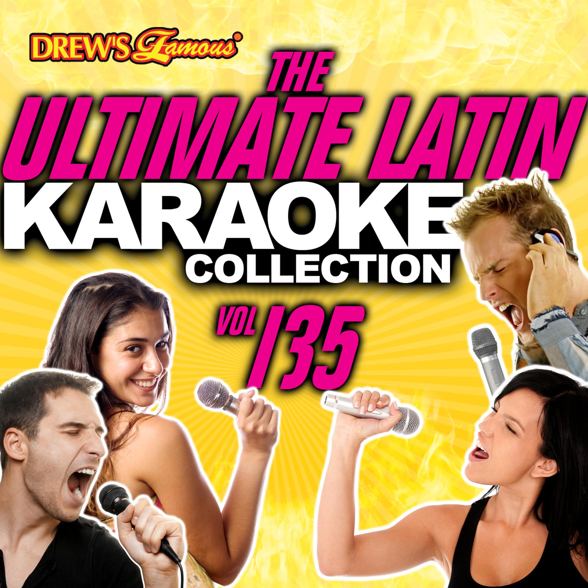 Постер альбома The Ultimate Latin Karaoke Collection, Vol. 135