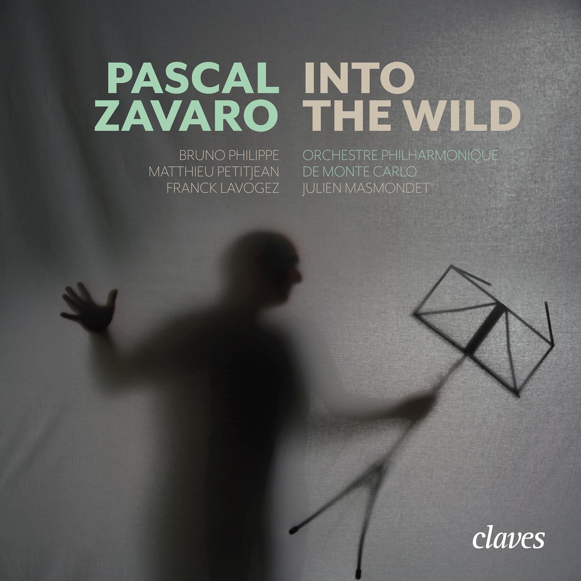 Постер альбома Pascal Zavaro: Into The Wild