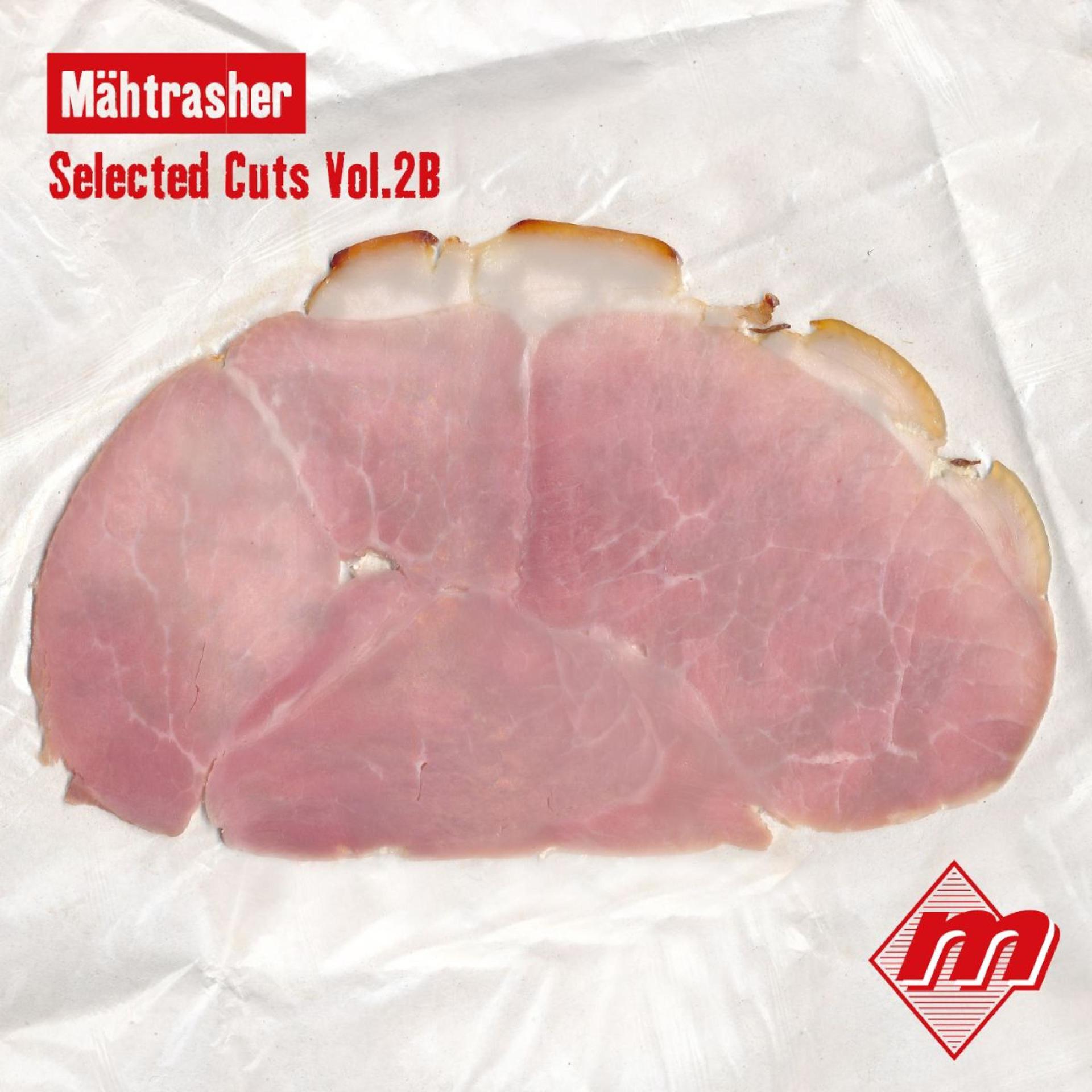 Постер альбома Maehtrasher Selected Cuts, Vol. 2b