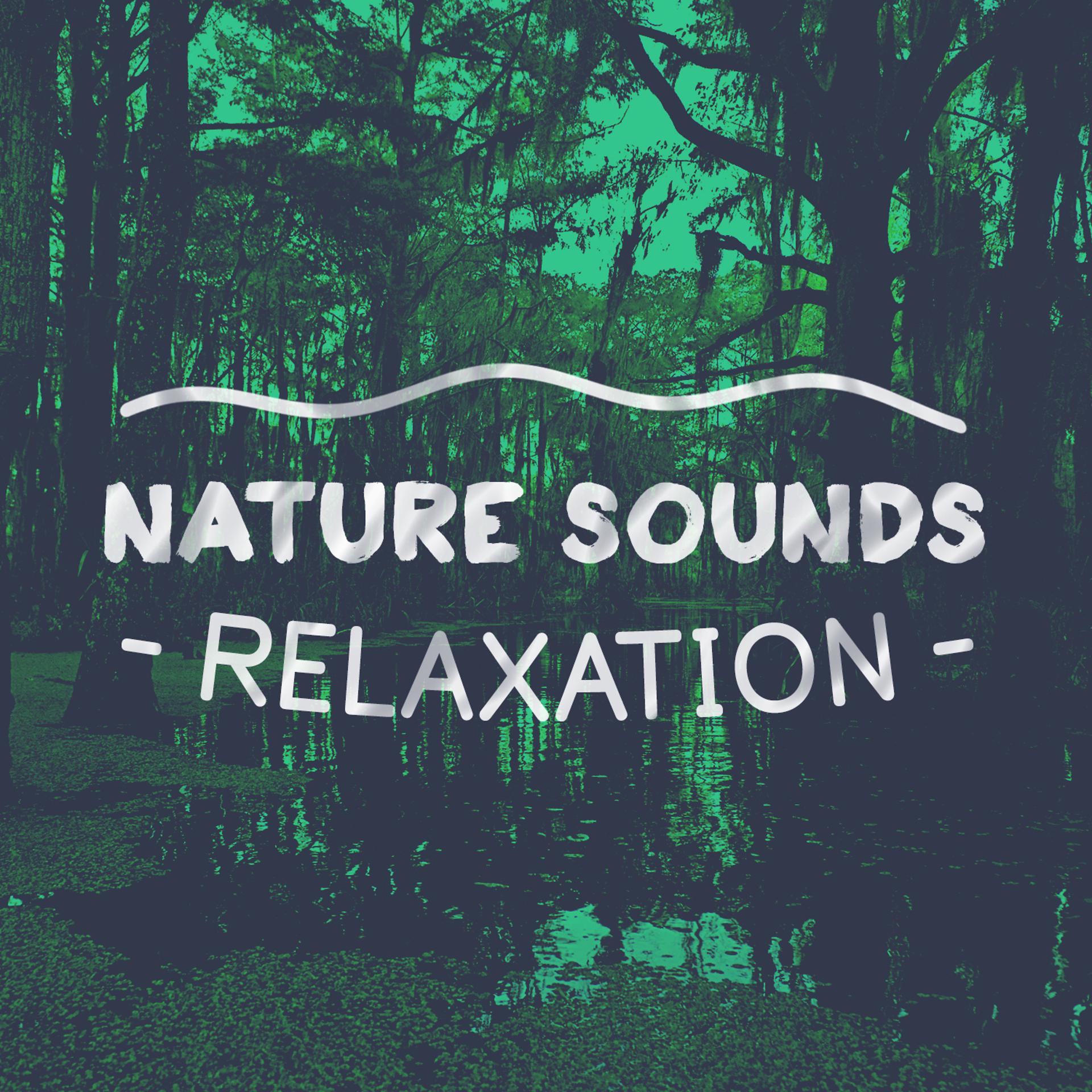 Постер альбома Nature Sounds: Relaxation