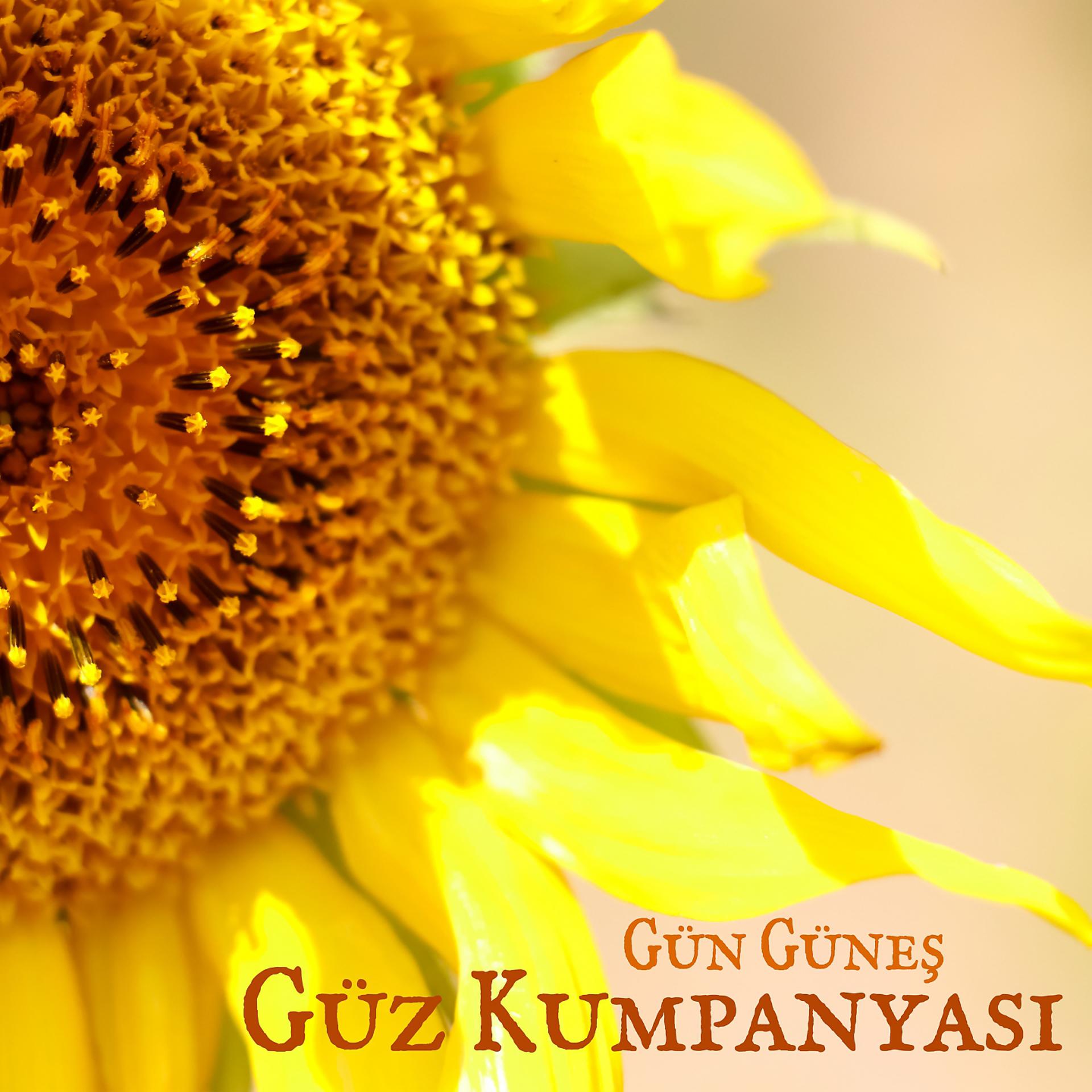 Постер альбома Gün Güneş