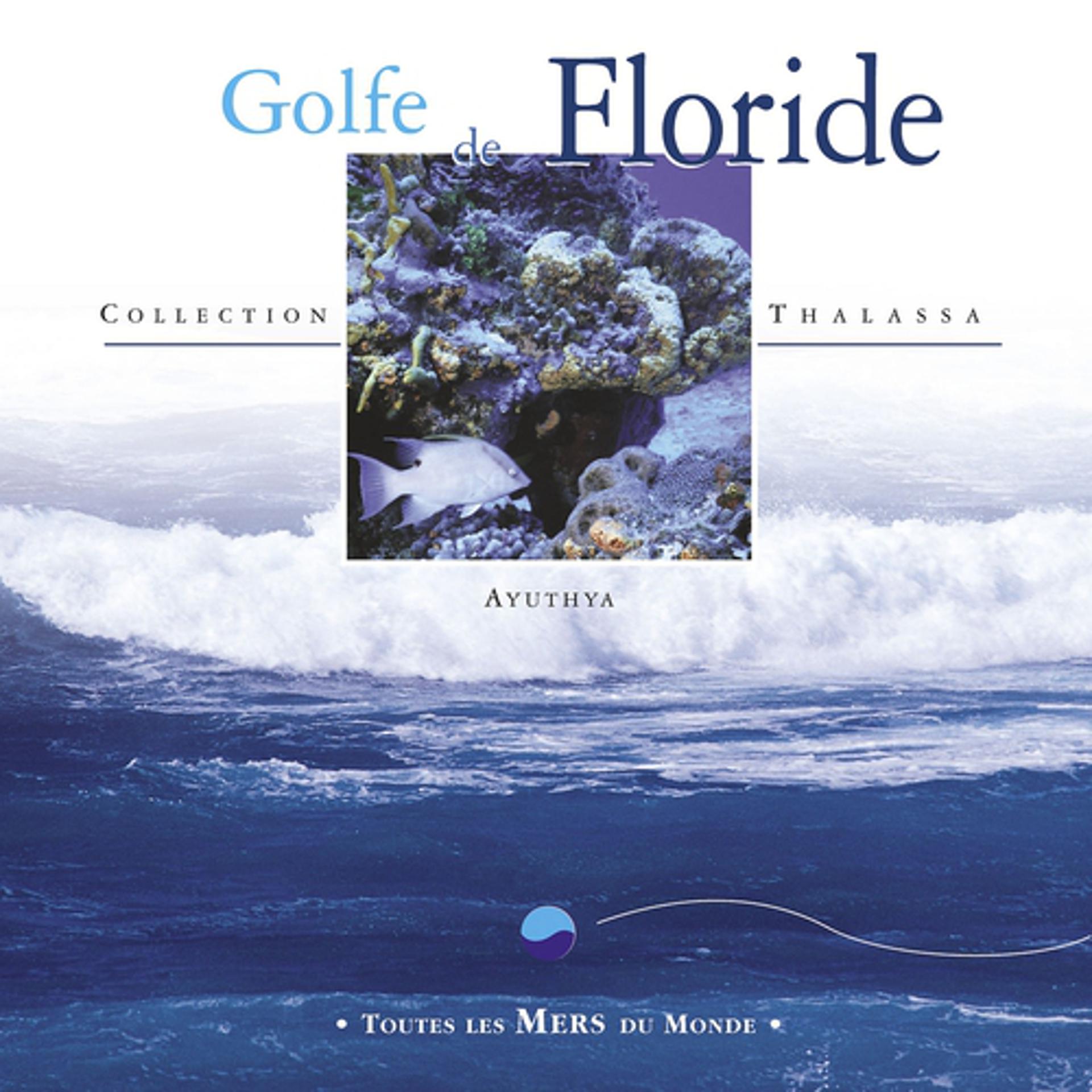 Постер альбома Toutes les mers du monde : Golfe de Floride