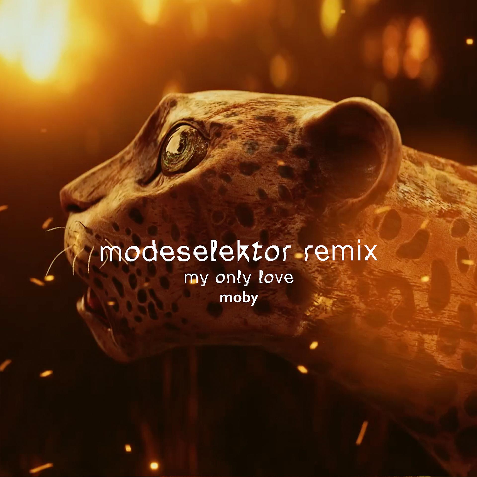 Постер альбома My Only Love (Modeselektor Remix)