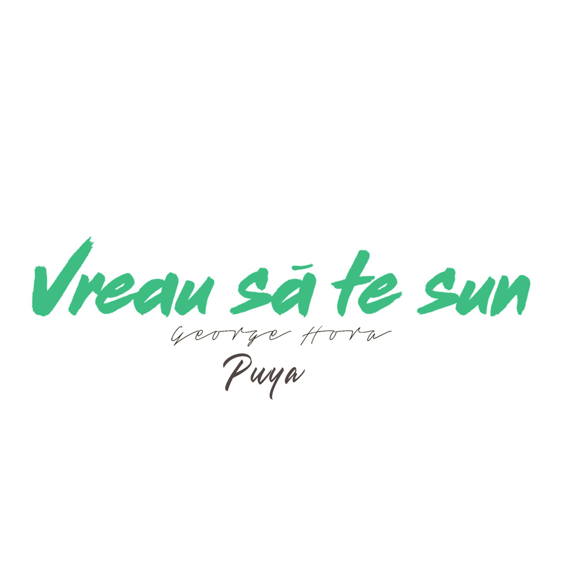 Постер альбома Vreau Să Te Sun