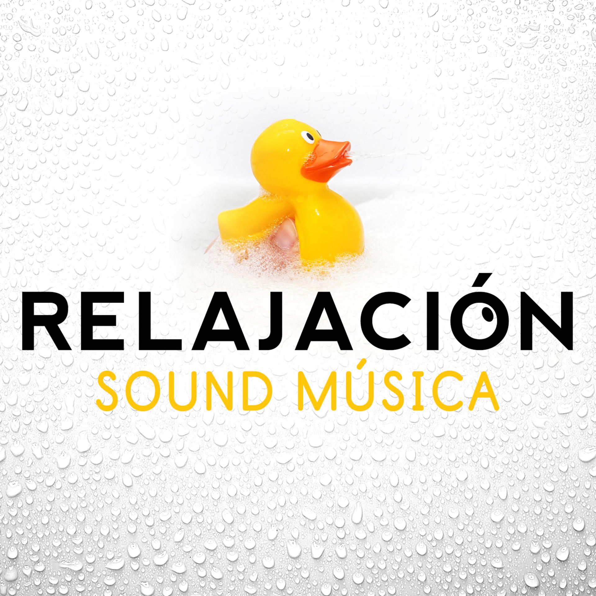 Постер альбома Relajación Sound Música