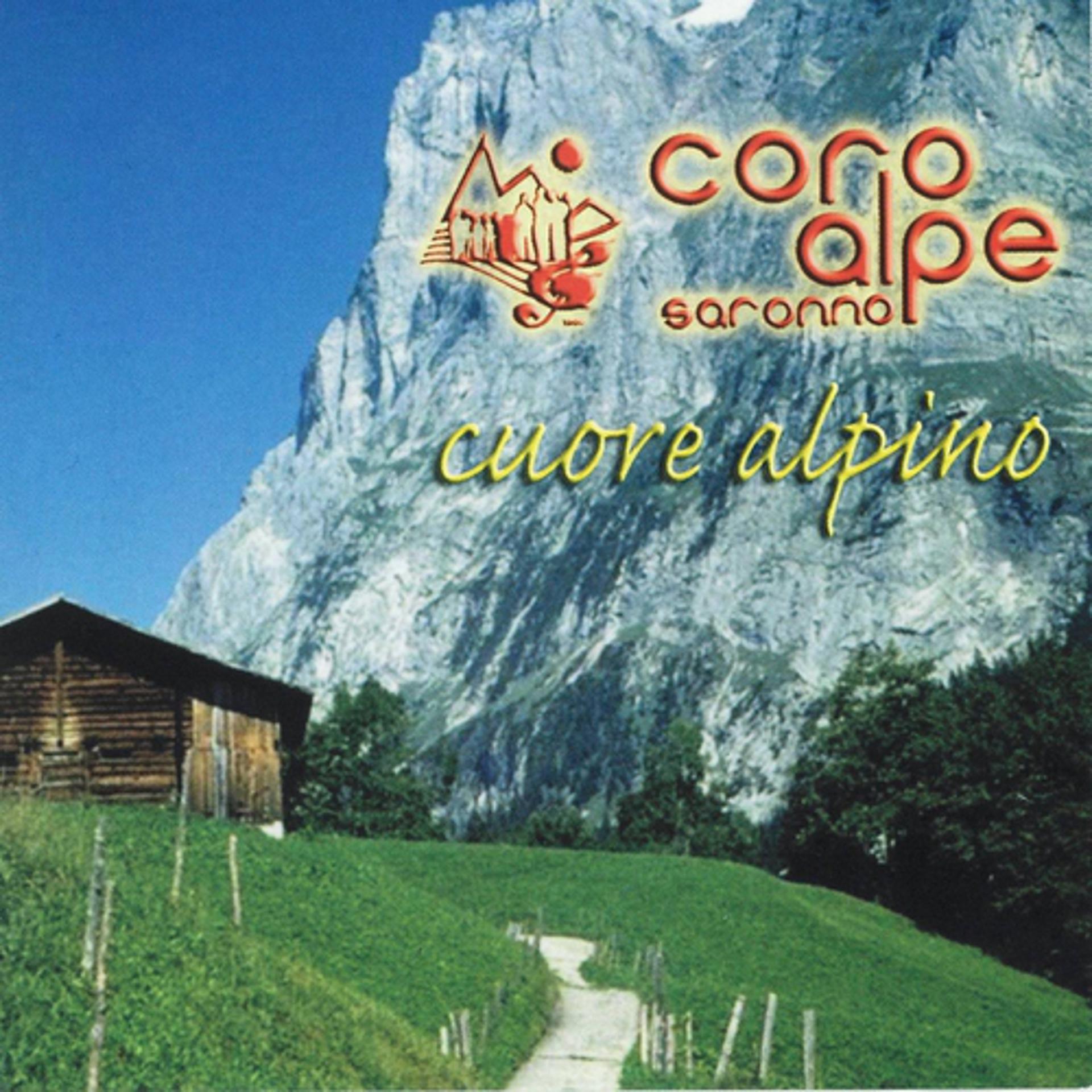 Постер альбома Cuore alpino