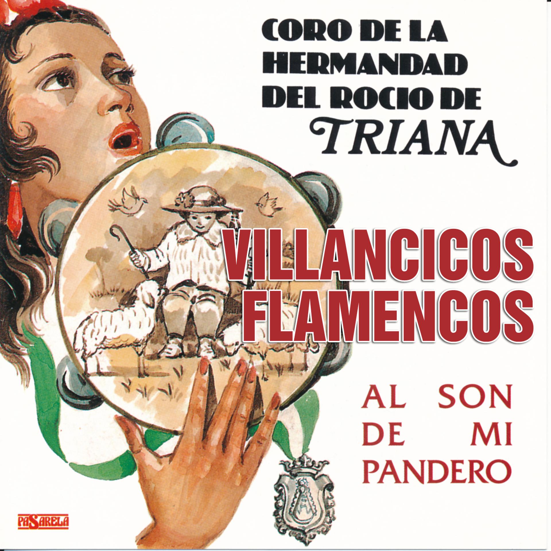 Постер альбома Villancicos Flamencos. Al Son de Mi Pandero