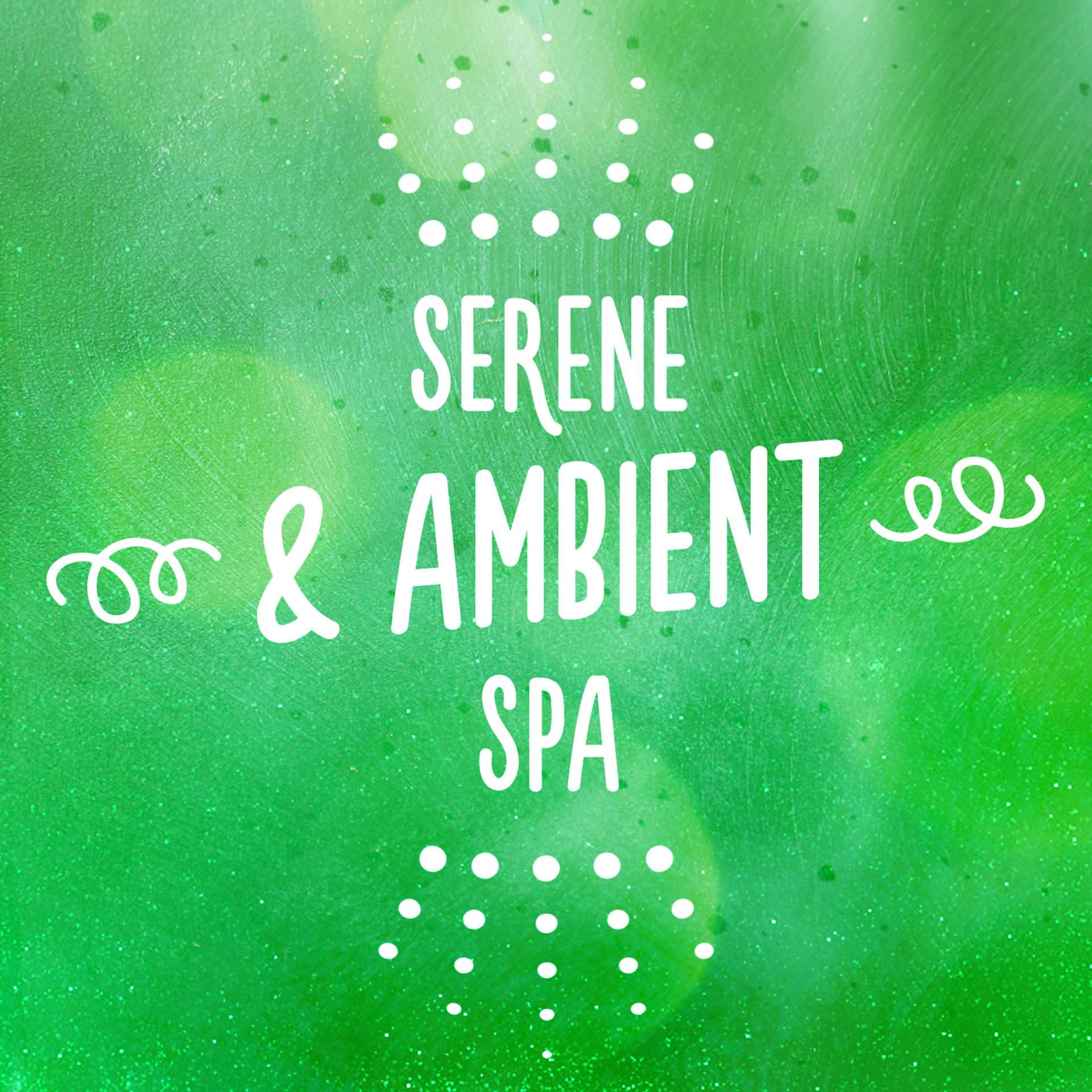 Постер альбома Serene & Ambient Spa