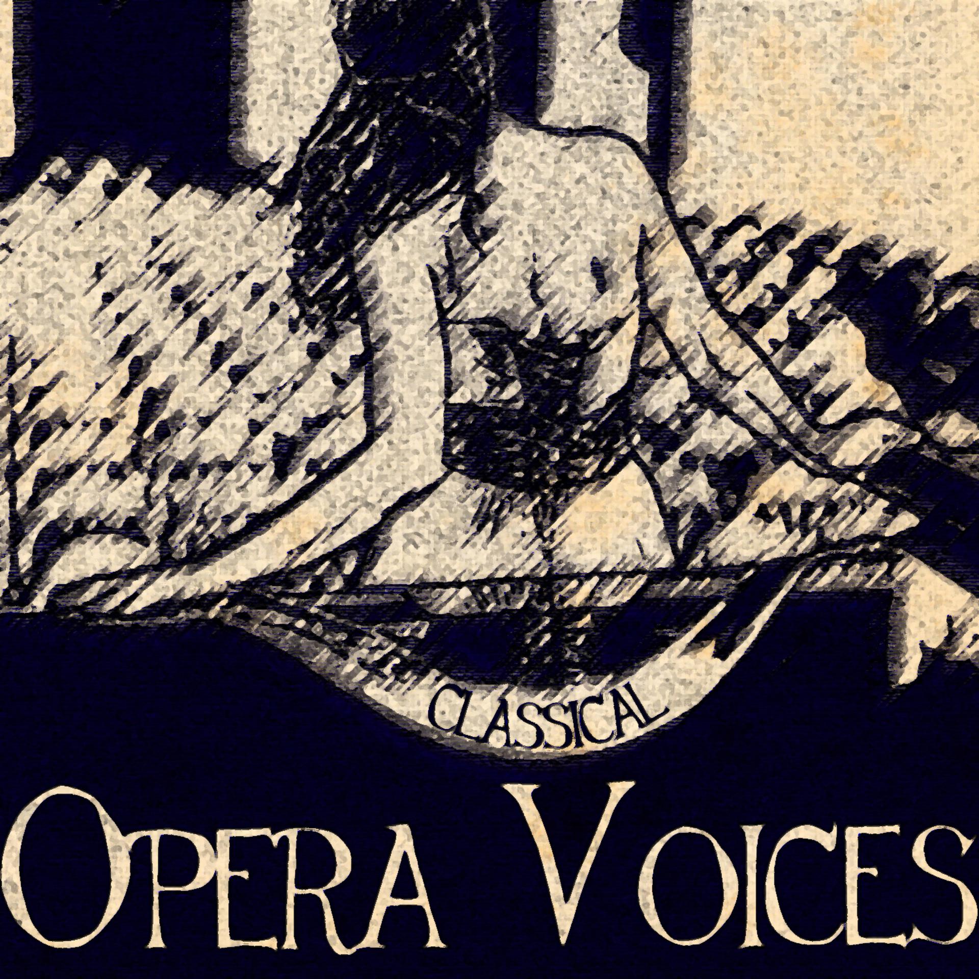 Постер альбома Classical Opera Voices