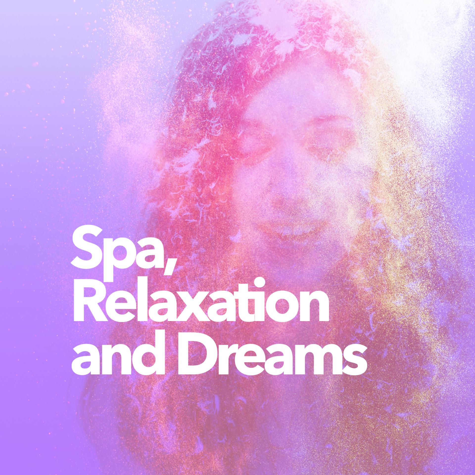 Постер альбома Spa, Relaxation and Dreams