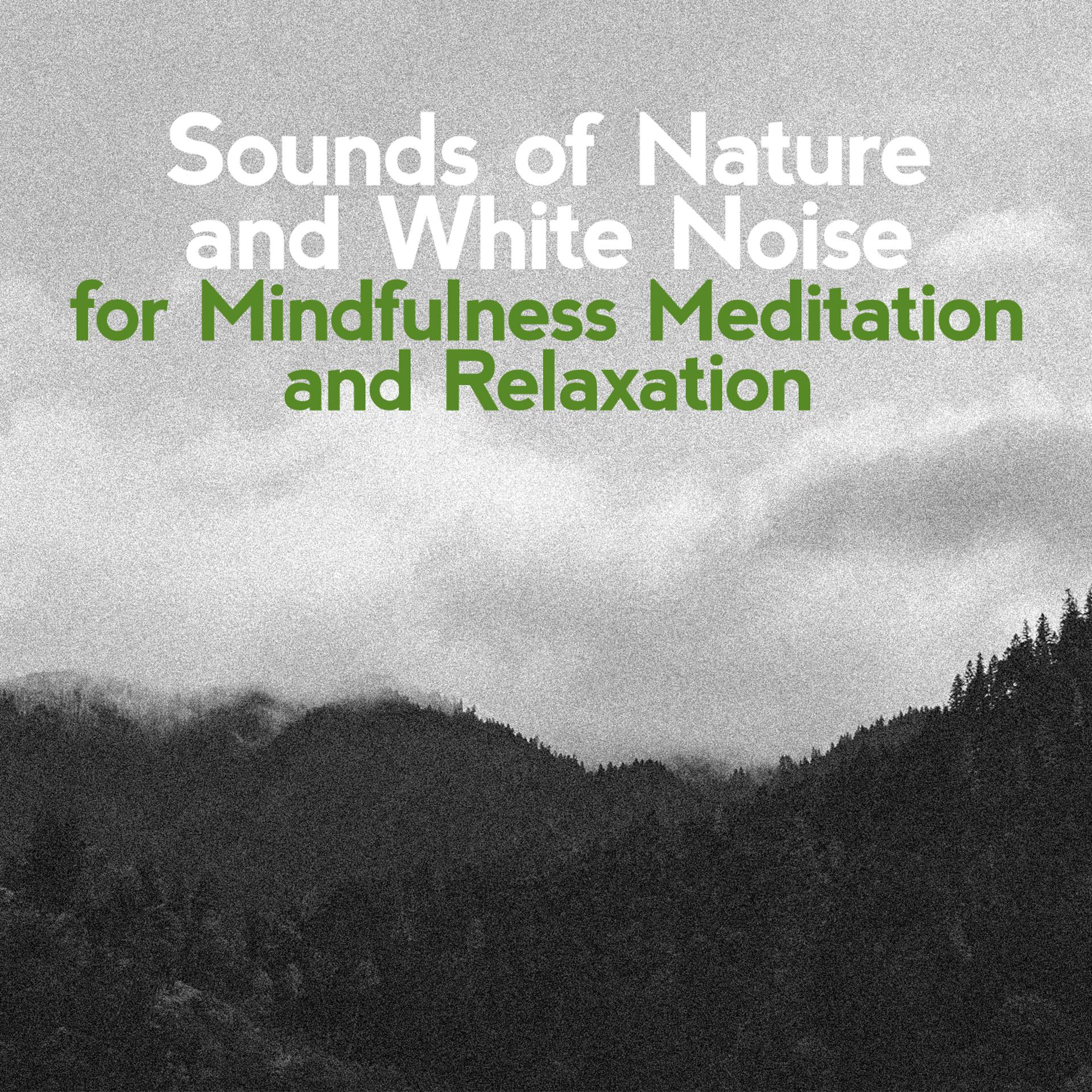 Постер альбома Sounds of Nature and White Noise for Mindfulness, Meditation and Relaxation