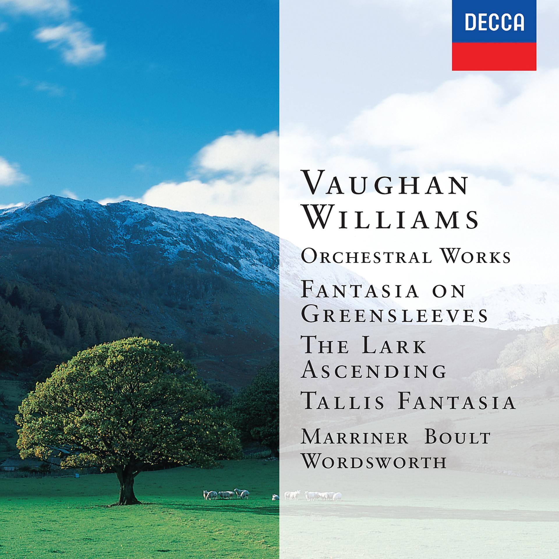Постер альбома Vaughan Williams: Orchestral Works