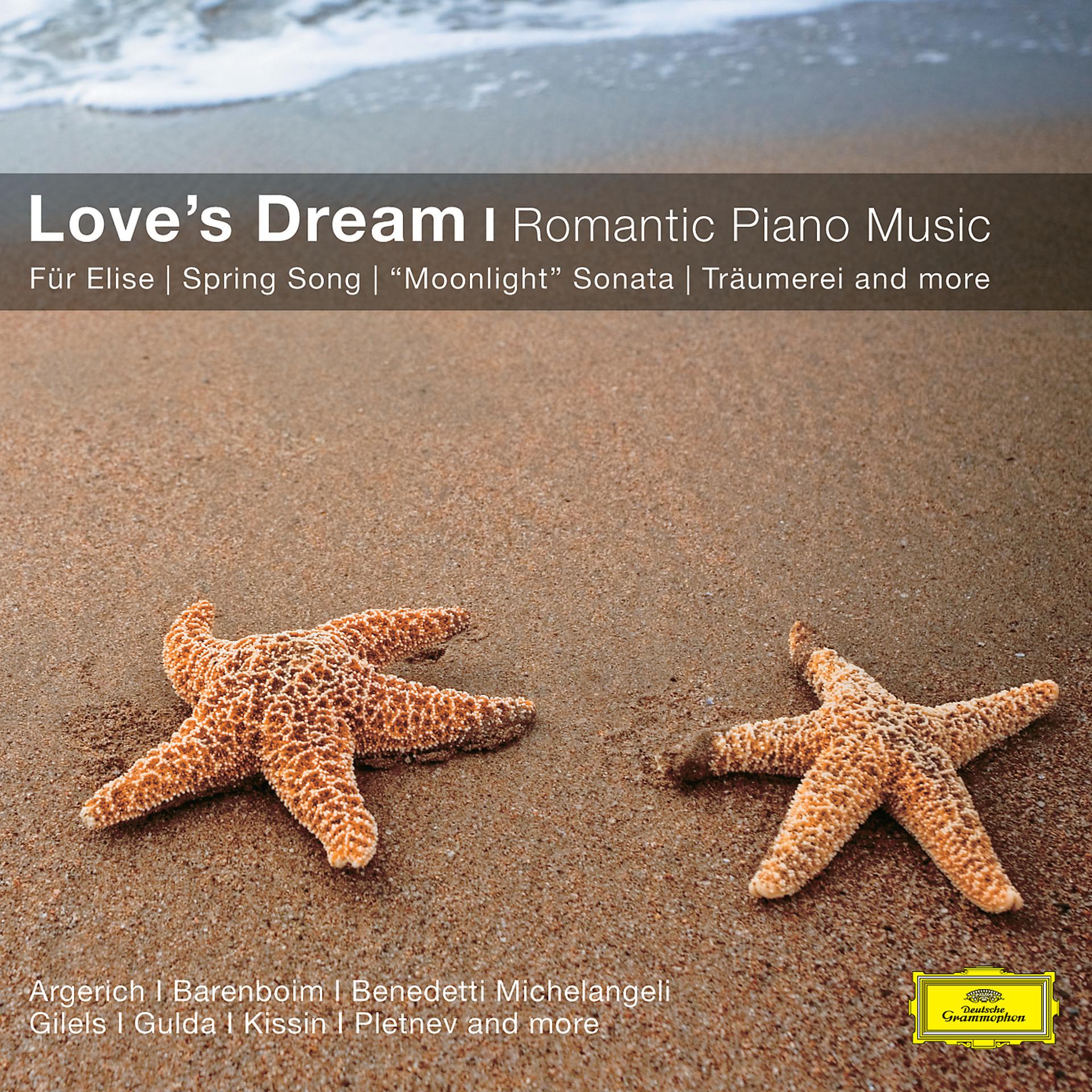 Постер альбома Love's Dream - Romantic Piano Music