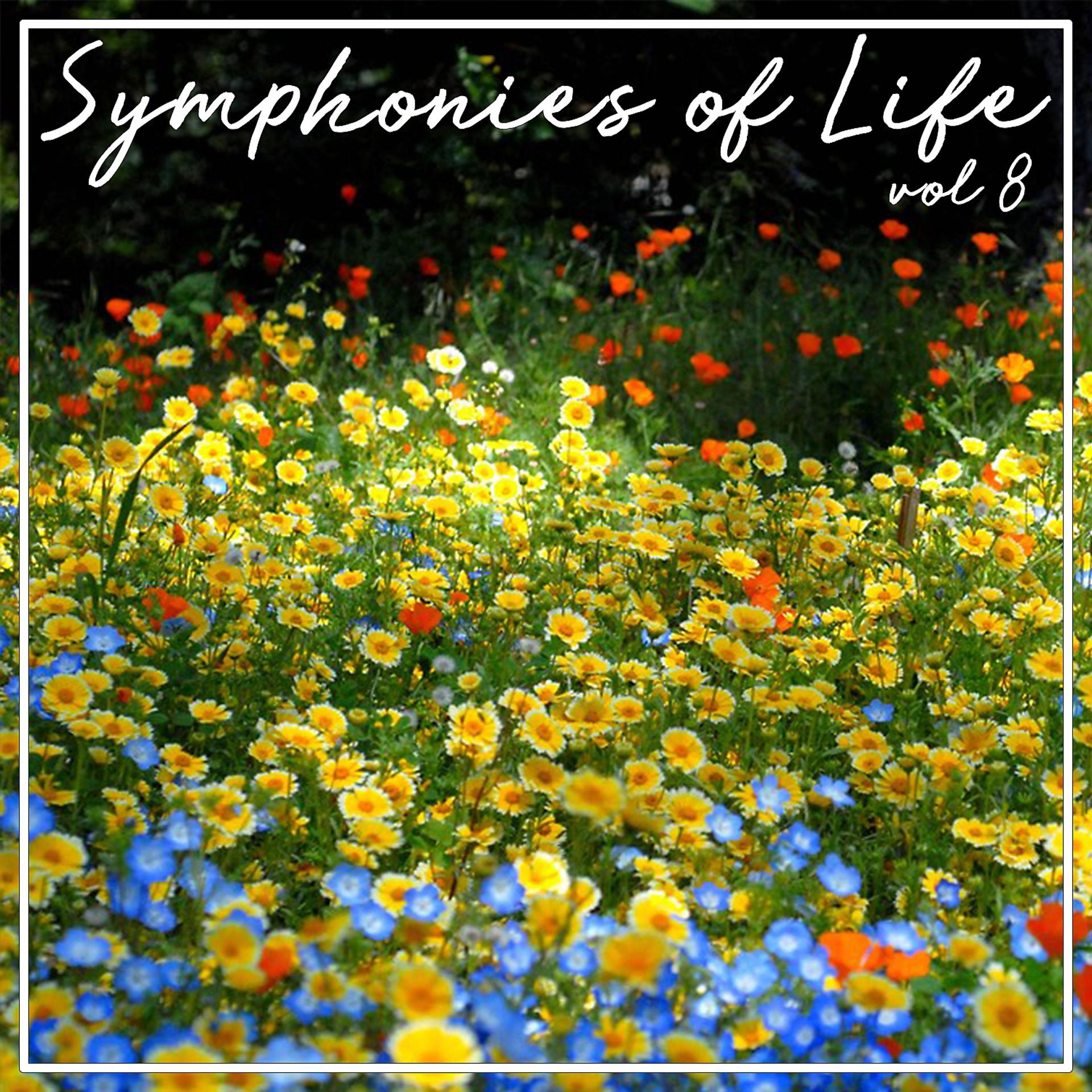 Постер альбома Symphonies of Life, Vol. 8 - Vivaldi, Pergolesi, Durante, Leo, Scarlatti: Italian Concertos