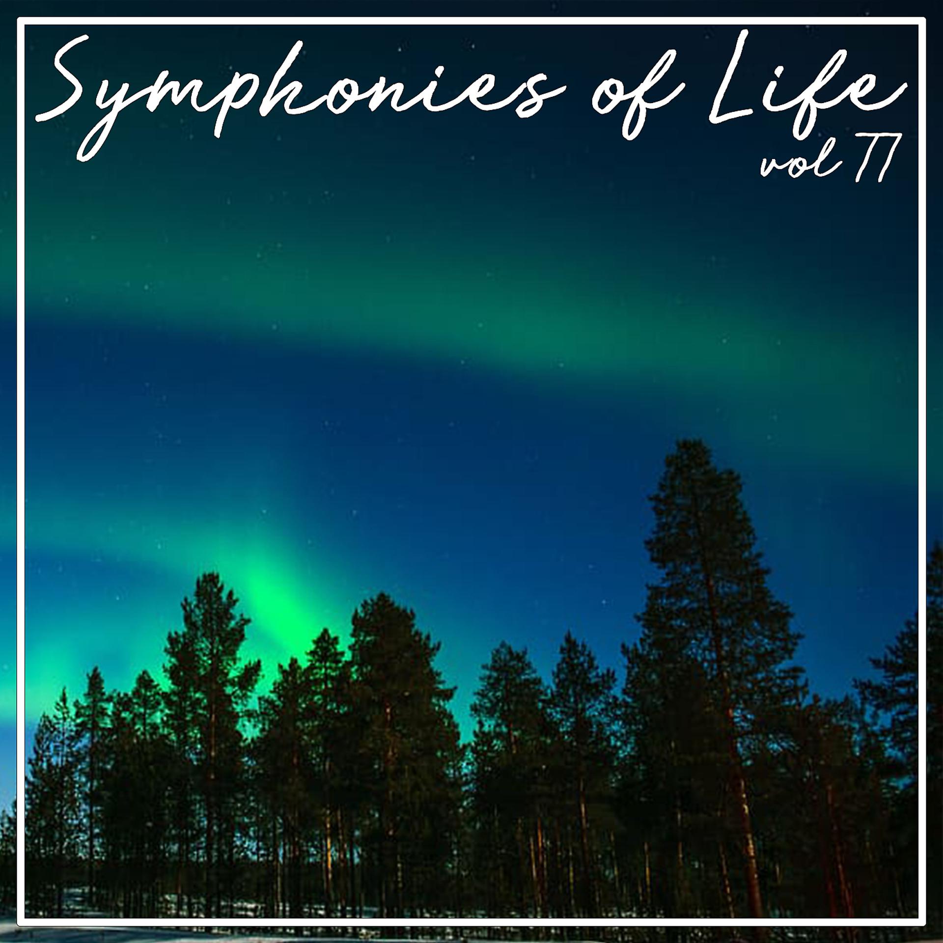 Постер альбома Symphonies of Life, Vol. 77 - Bach: Musik Der Bach Familie
