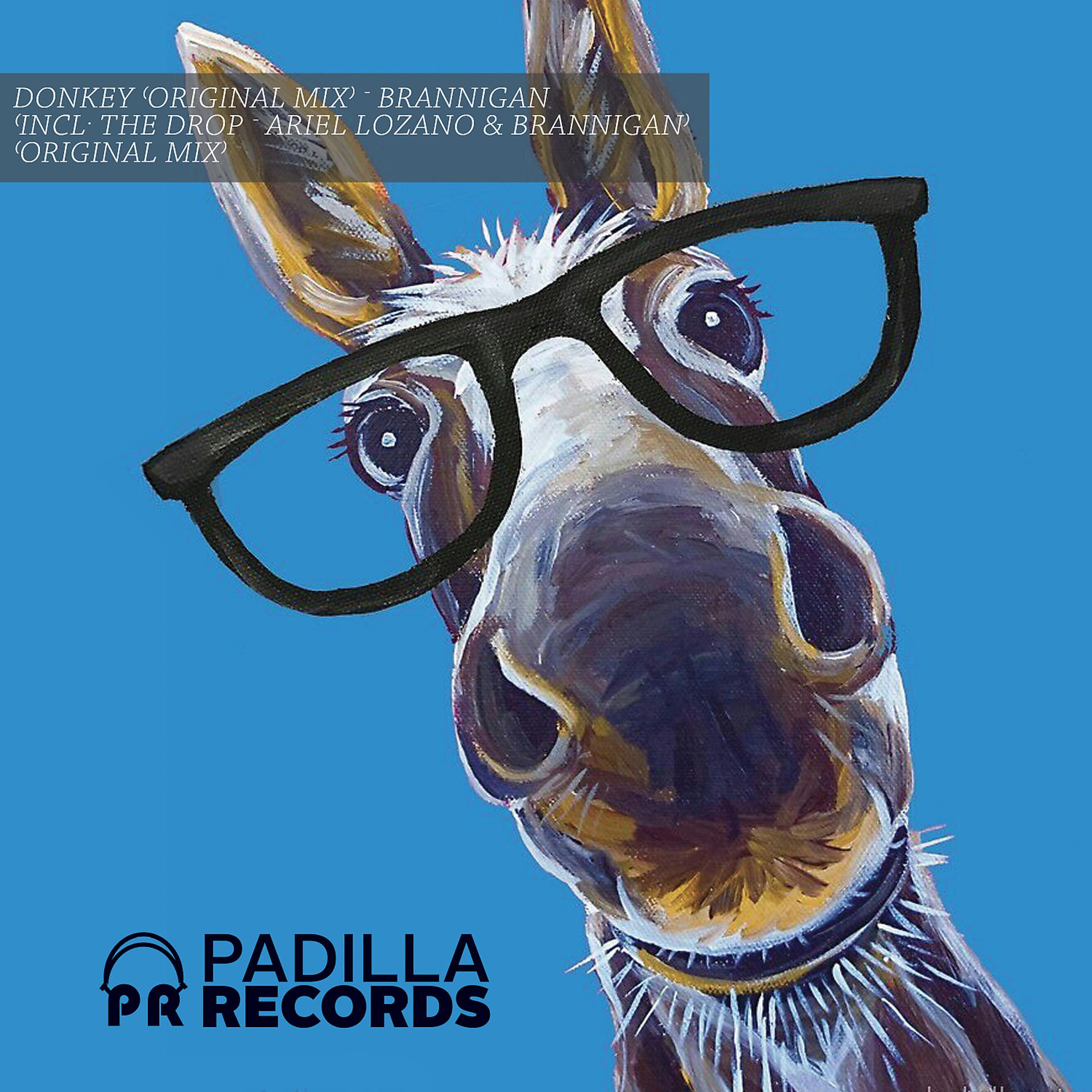 Постер альбома Donkey EP