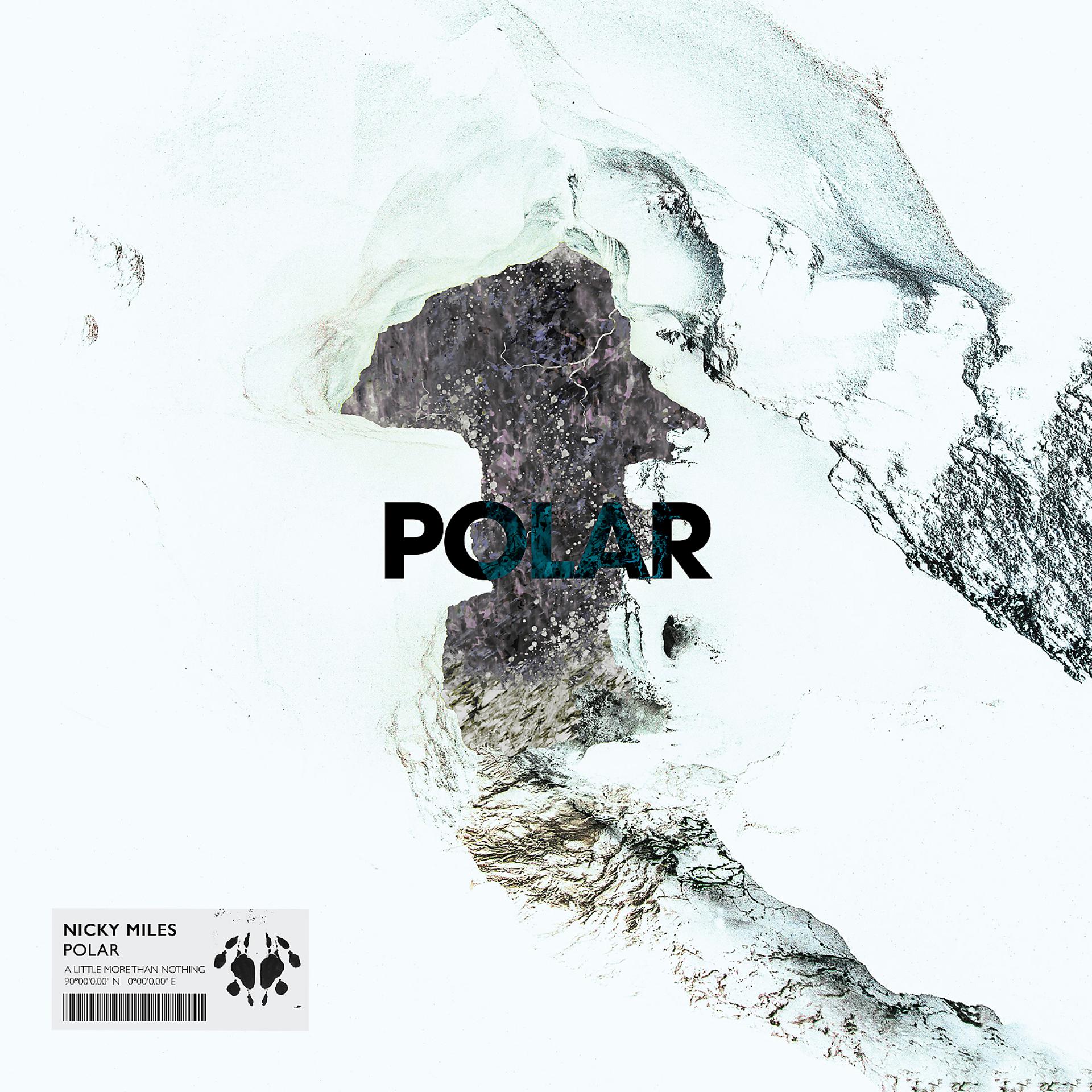 Постер альбома Polar