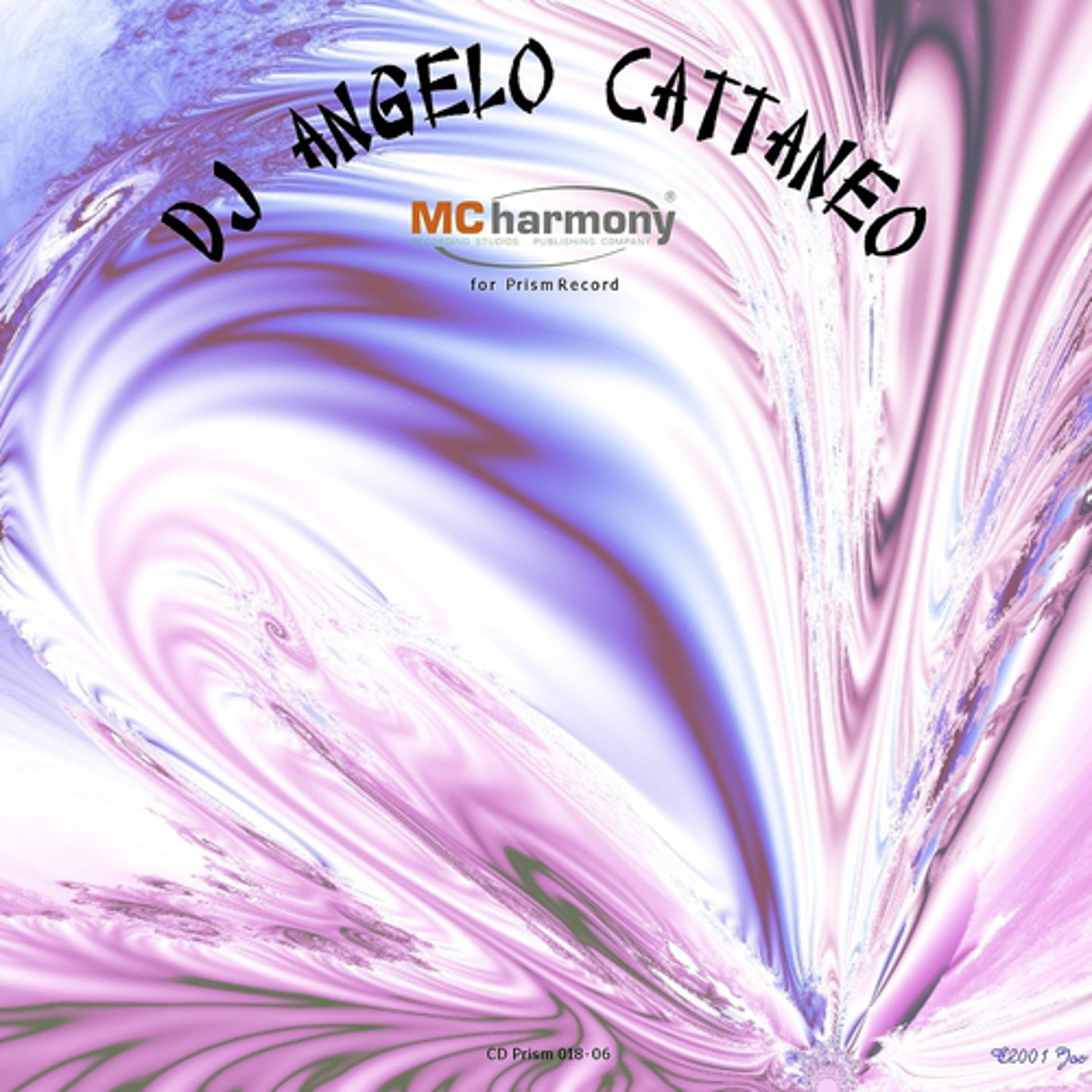 Постер альбома Dj Angelo Cattaneo