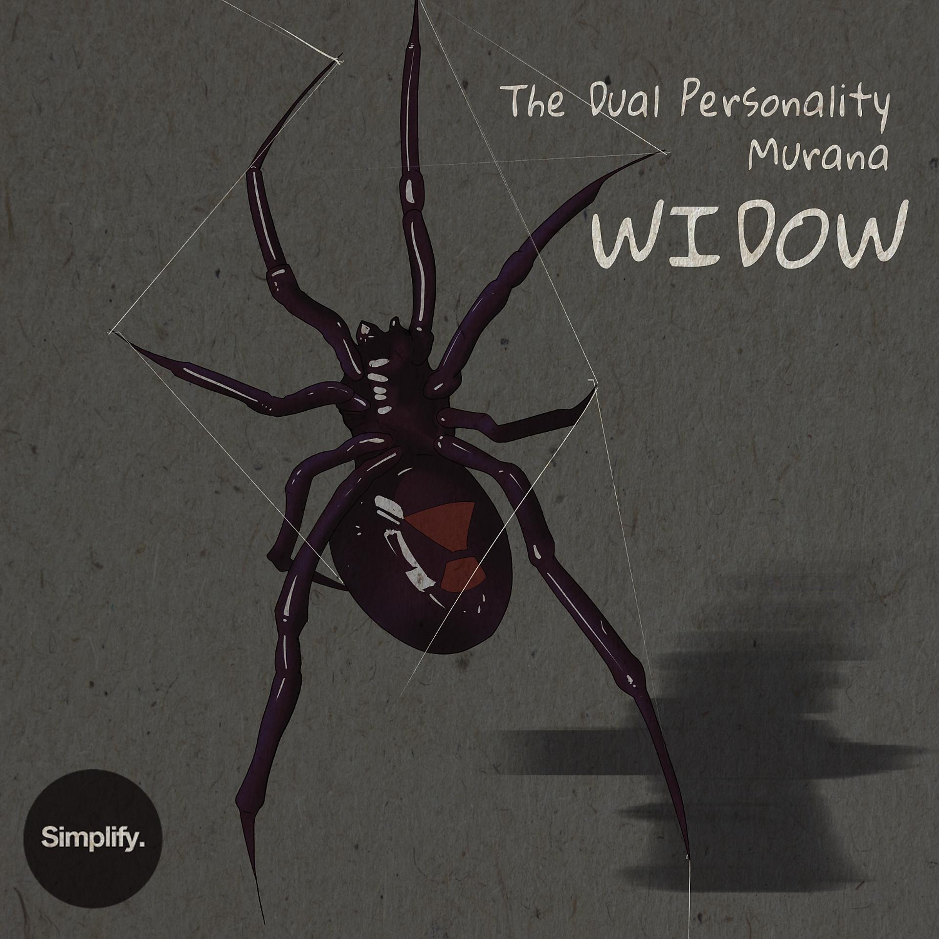 Постер альбома Widow