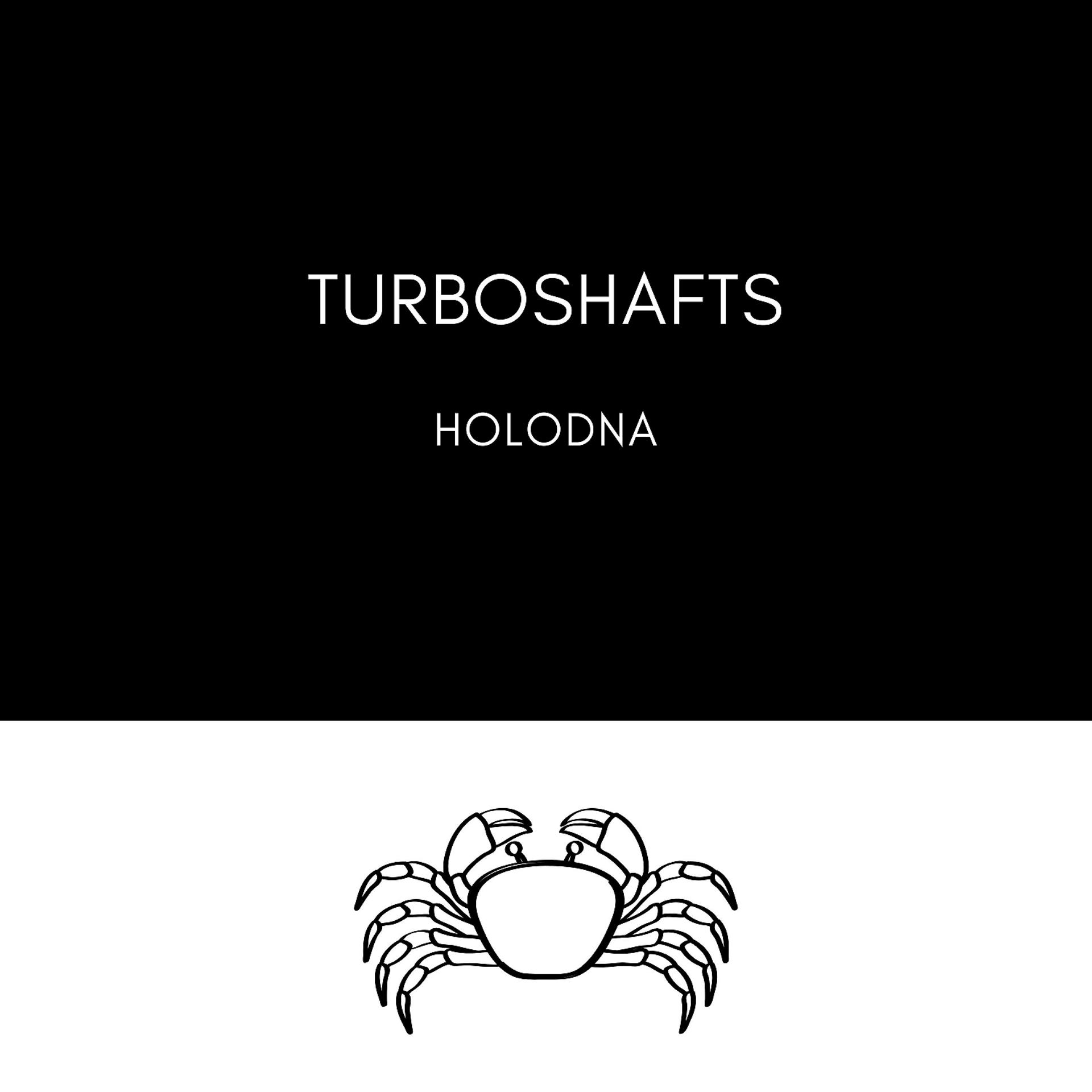 Постер альбома Turboshafts