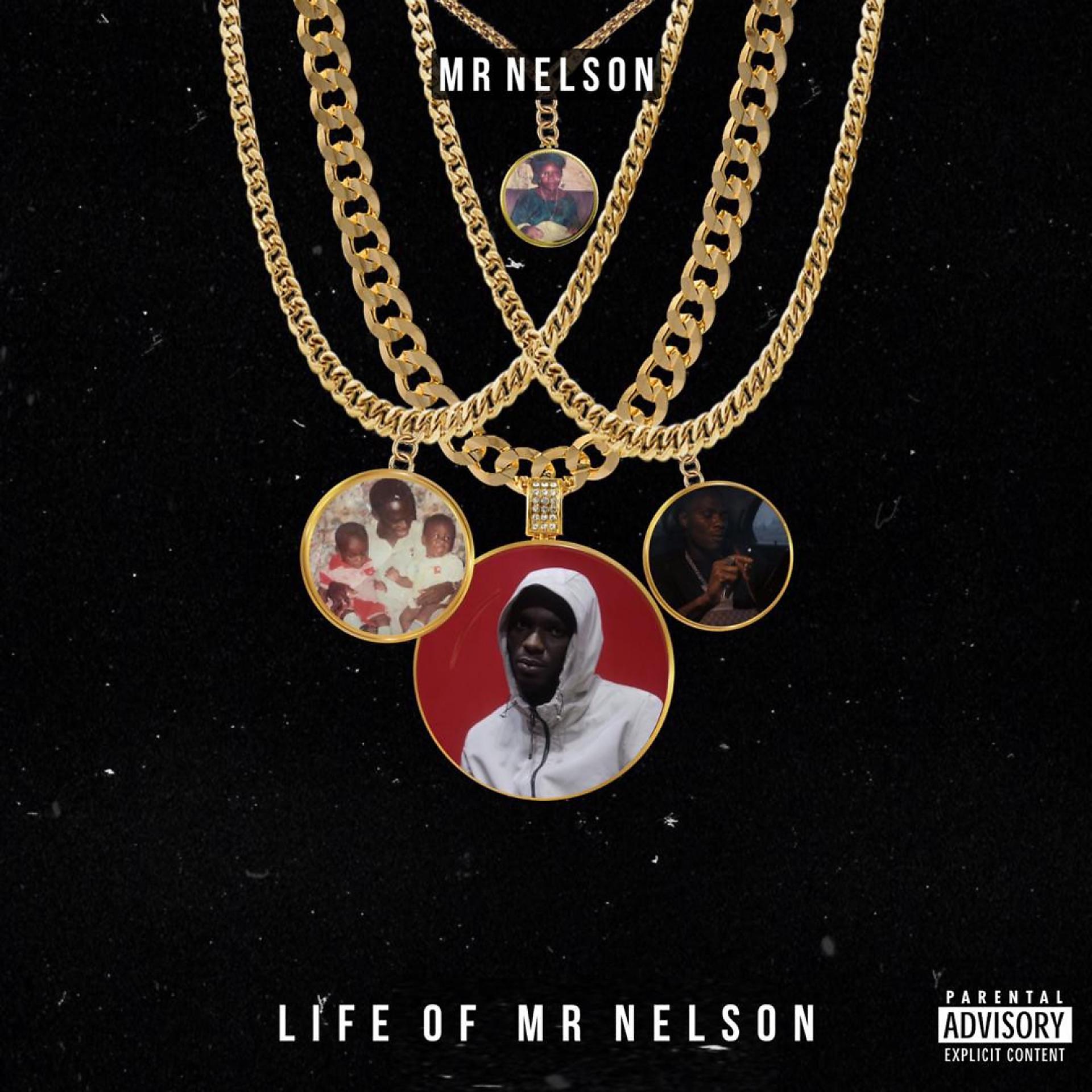 Постер альбома Life Of Mr Nelson (LOMN)